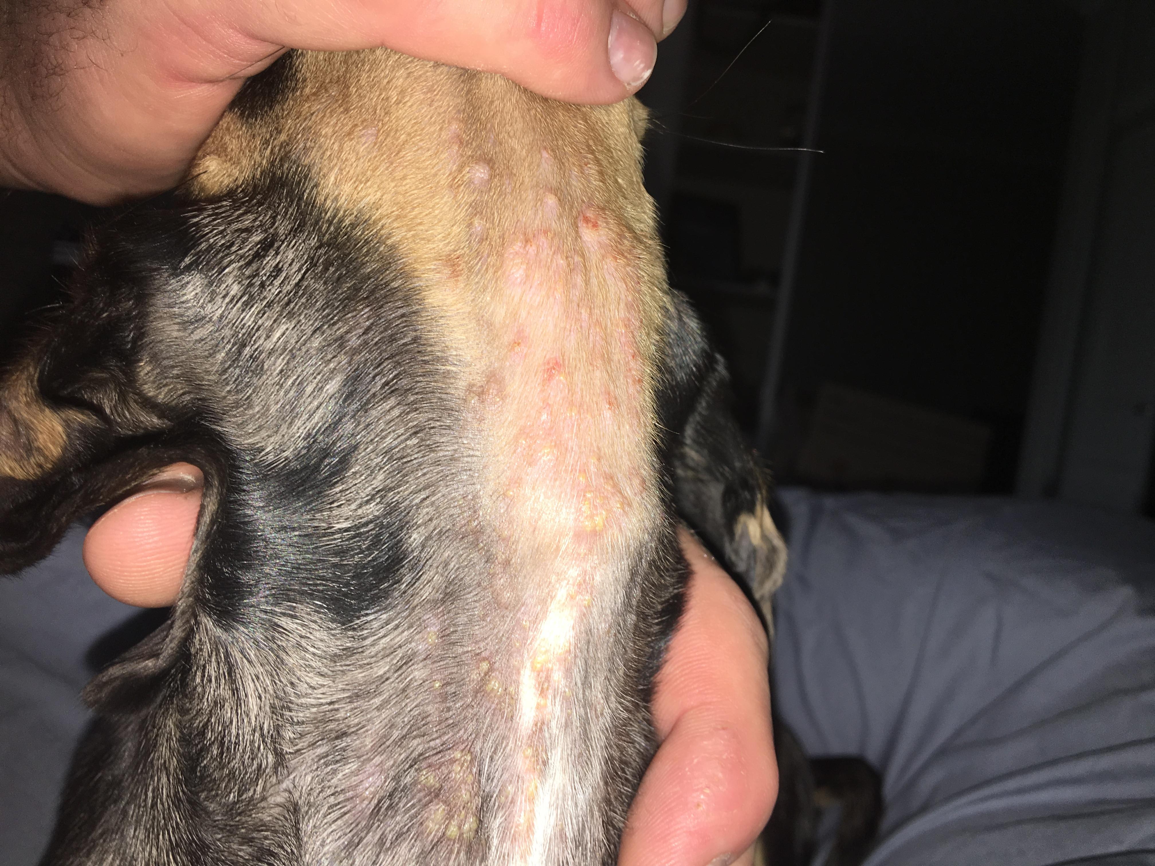 Question details sensitive content