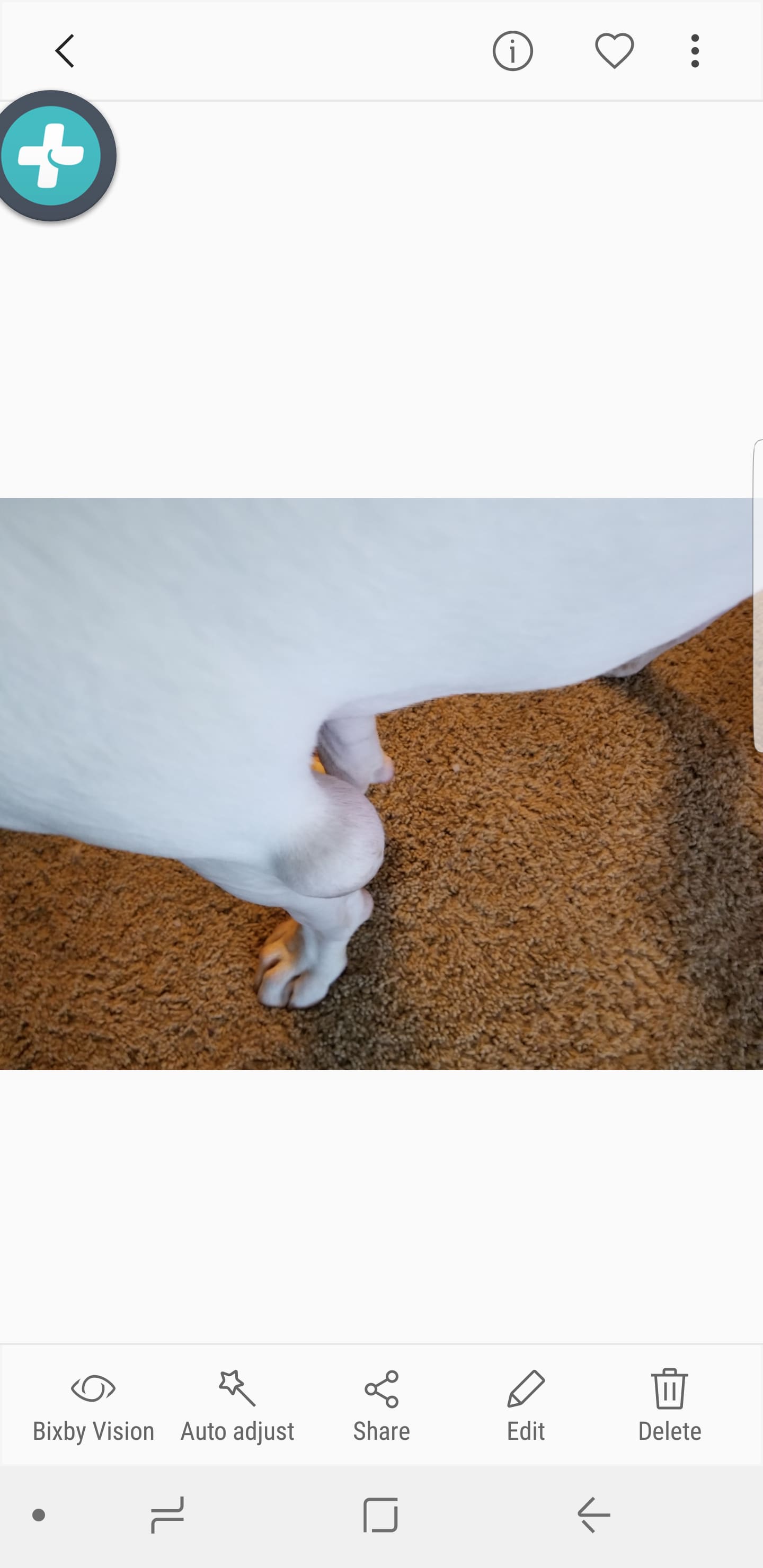 Question details sensitive content