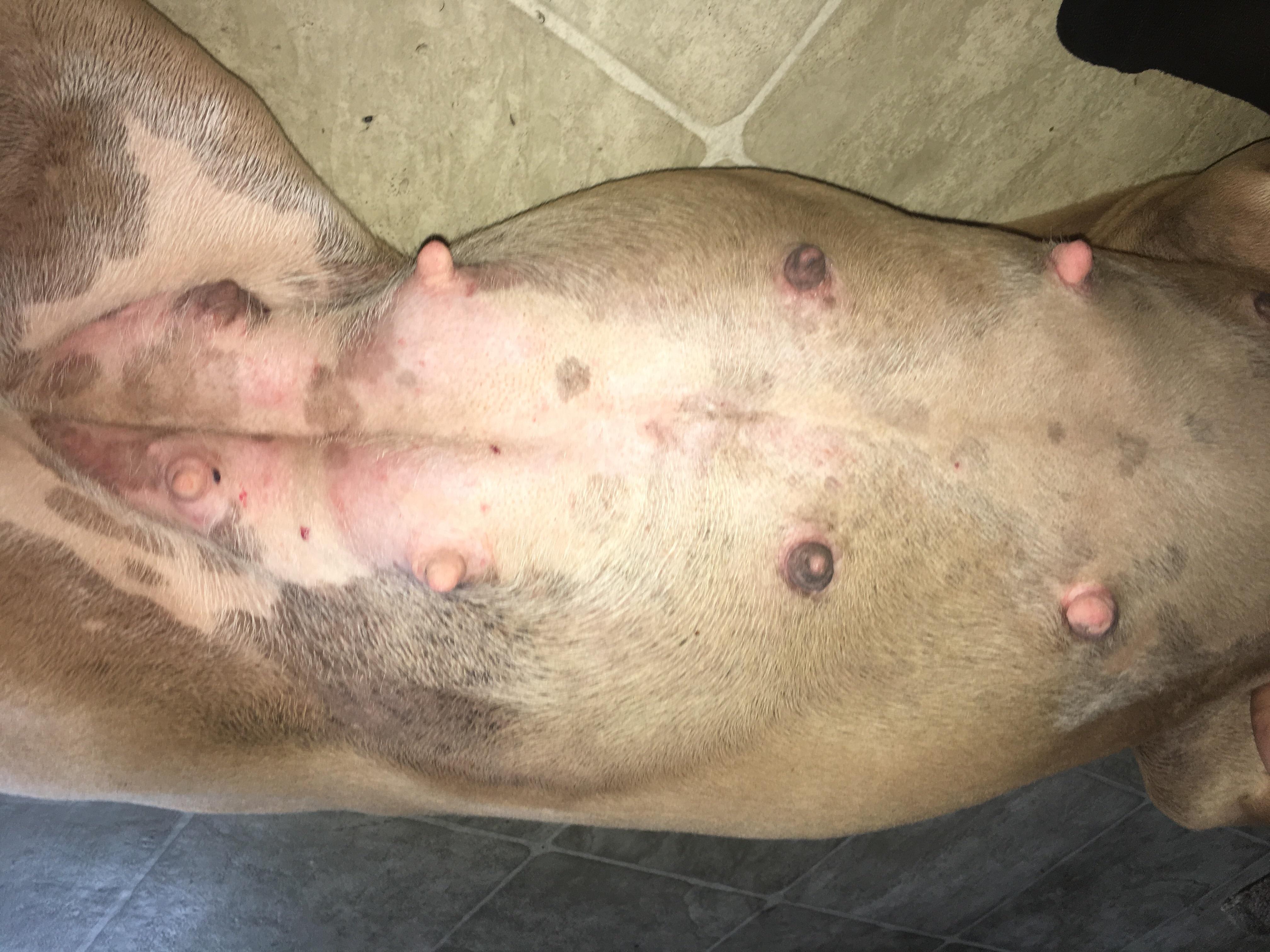 Question details sensitive content