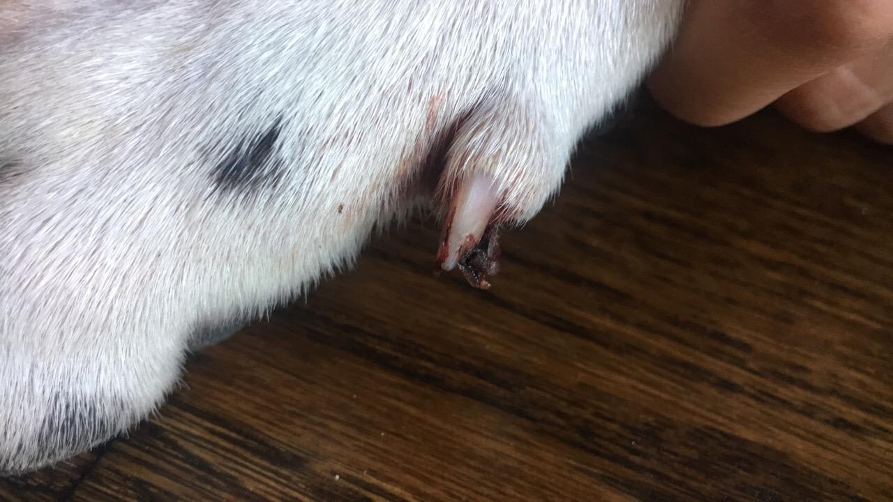 Question details sensitive content