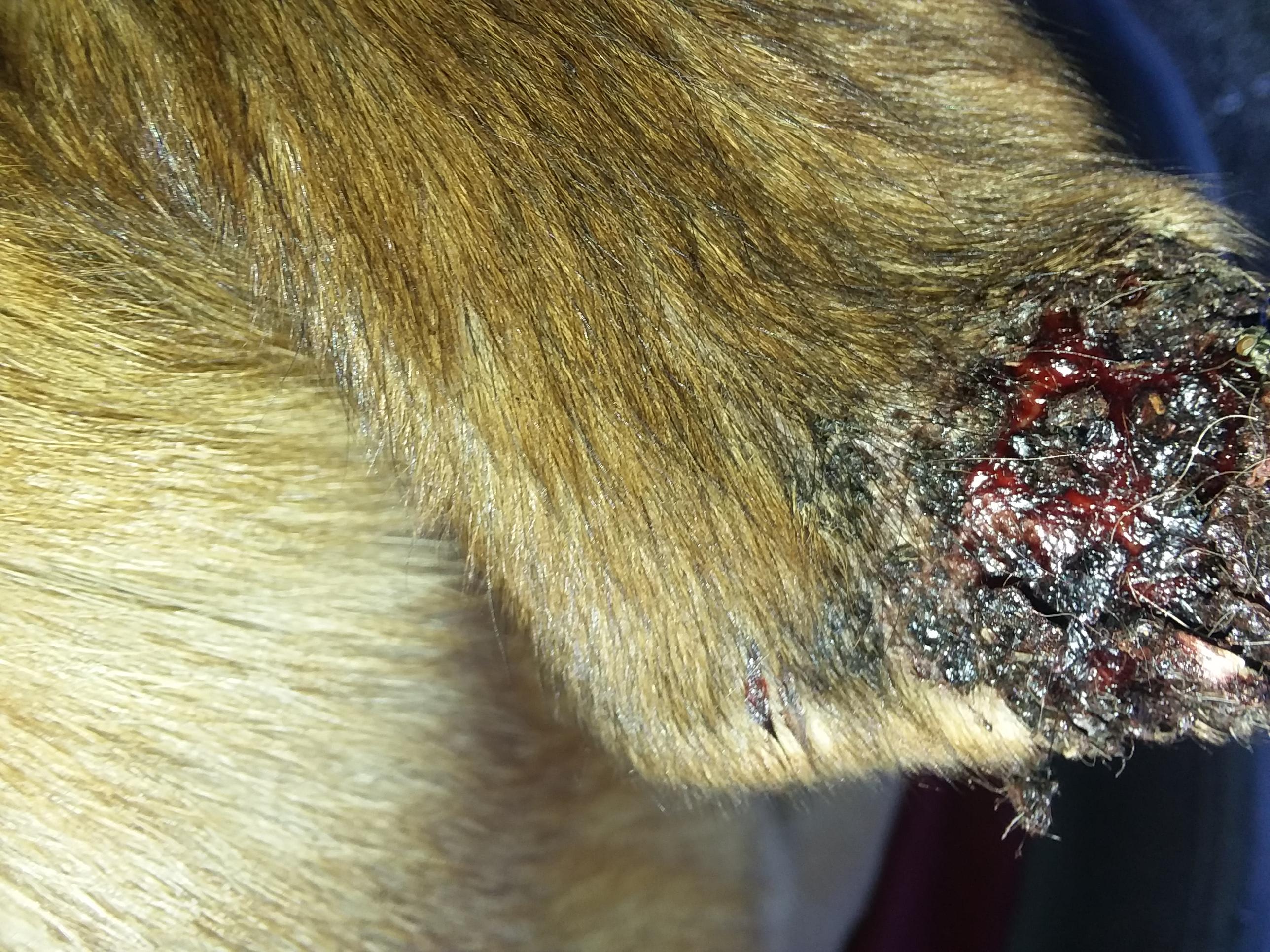 Question details sensitive content