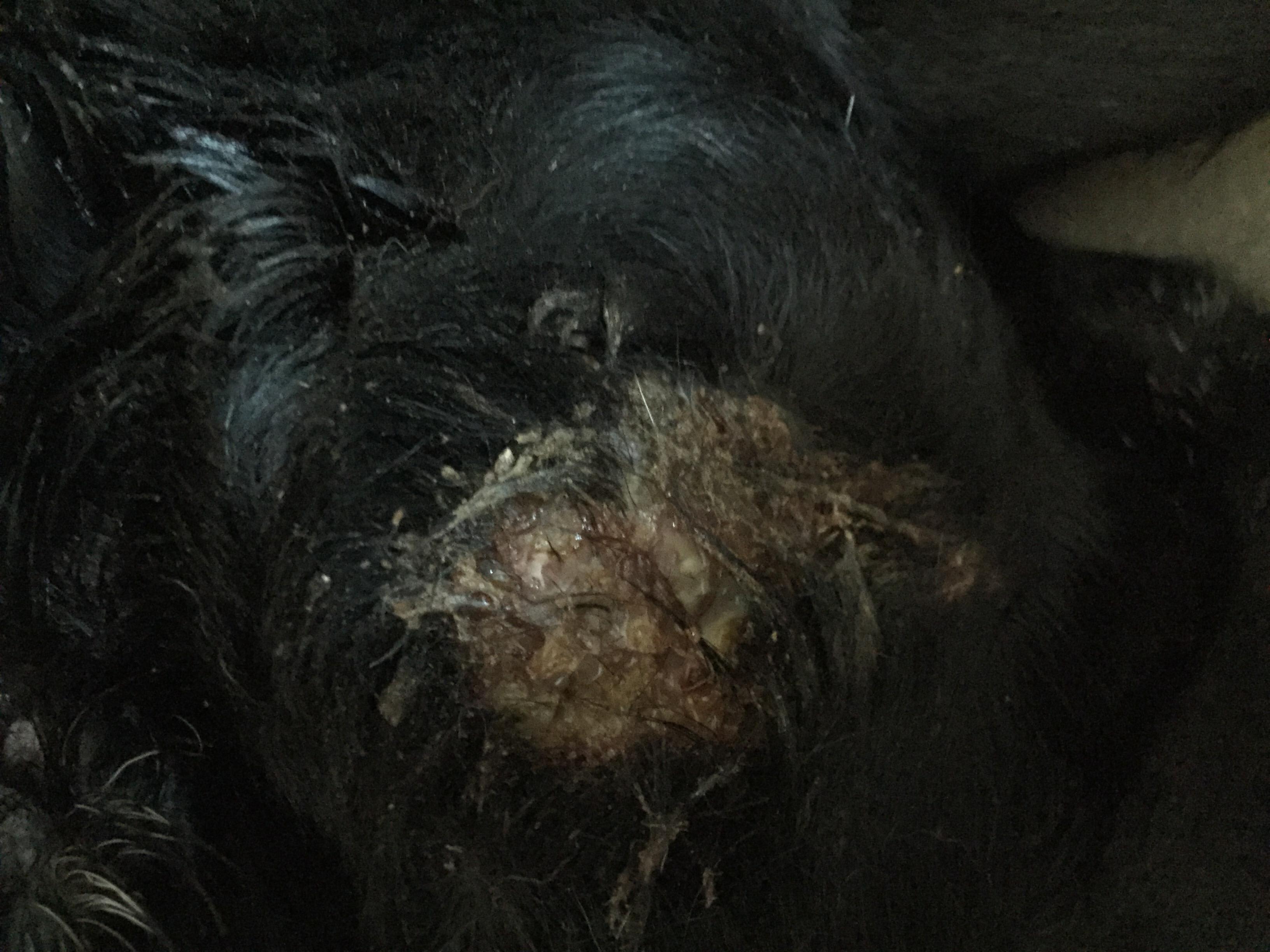 Question details sensitive content