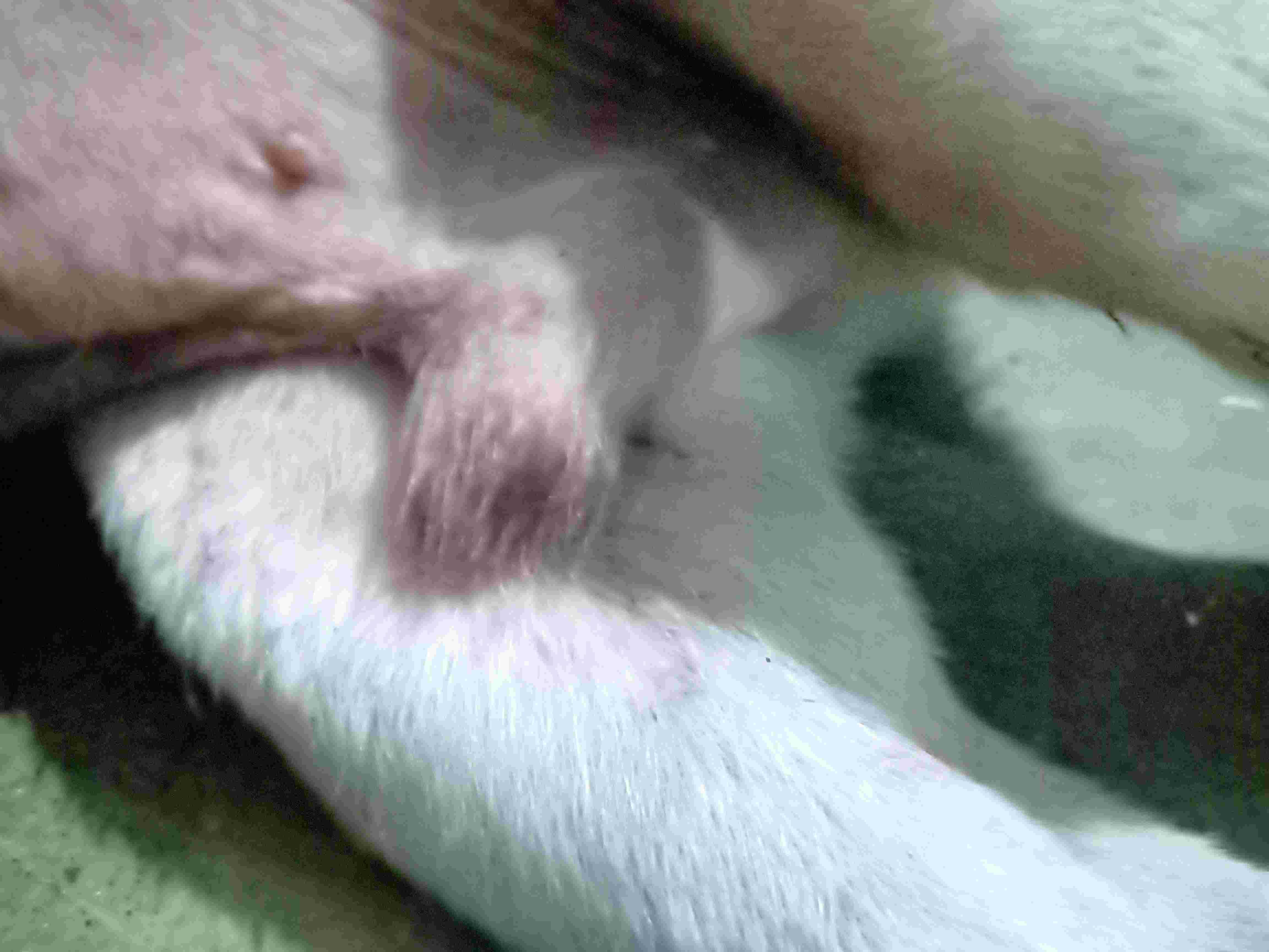 Question details sensitive content