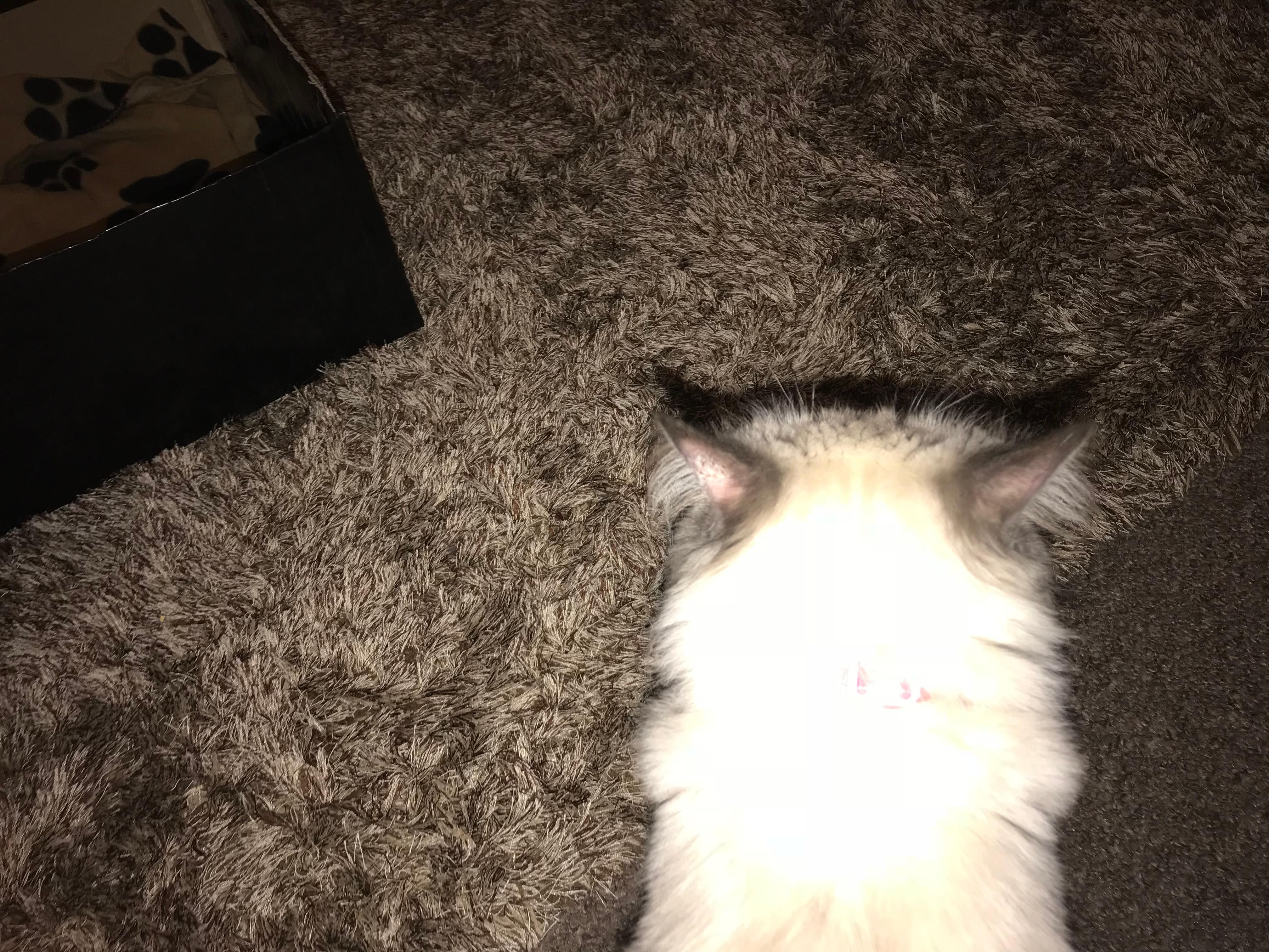 Question details sensitive content