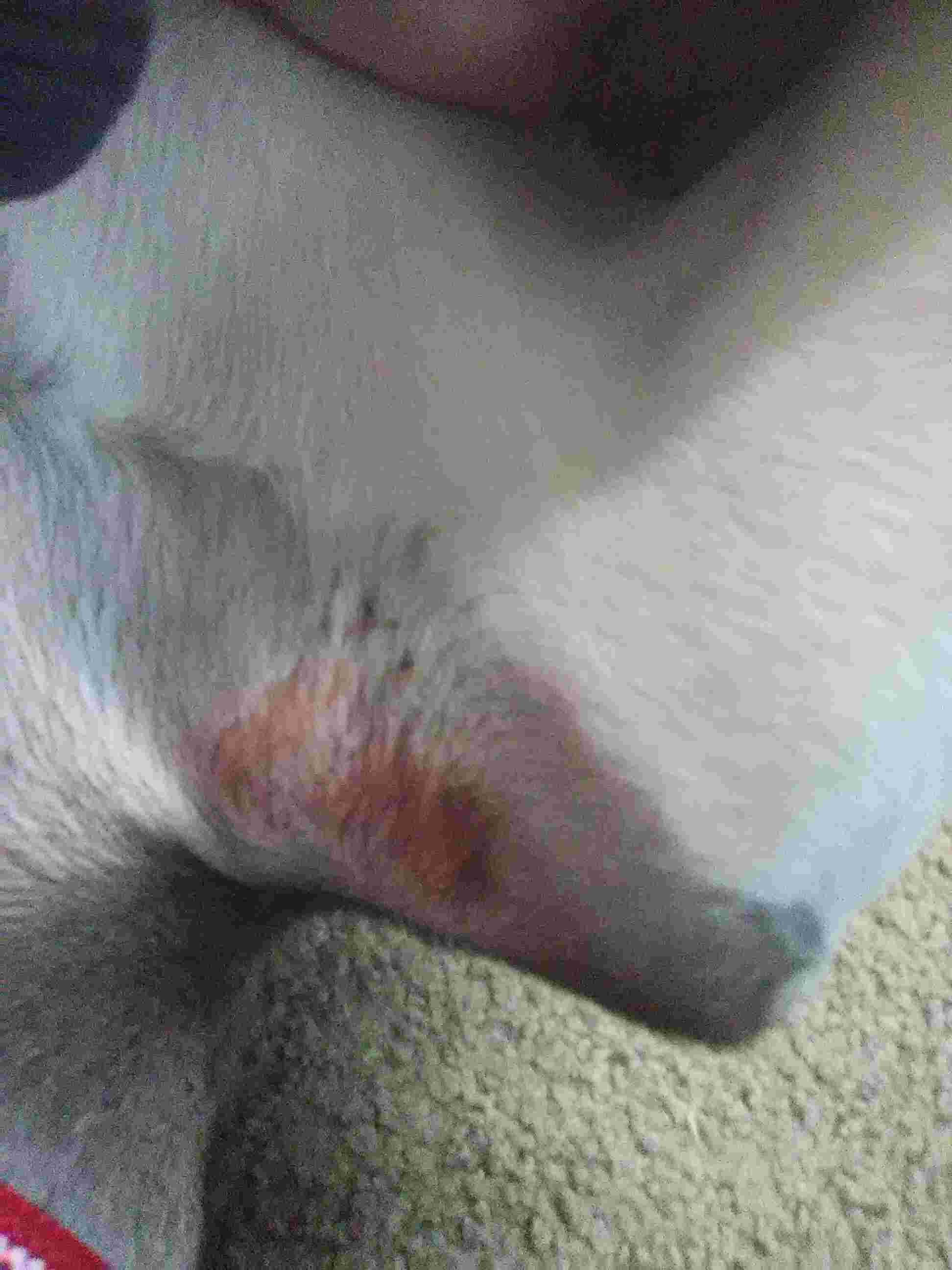 Question details sensitive content