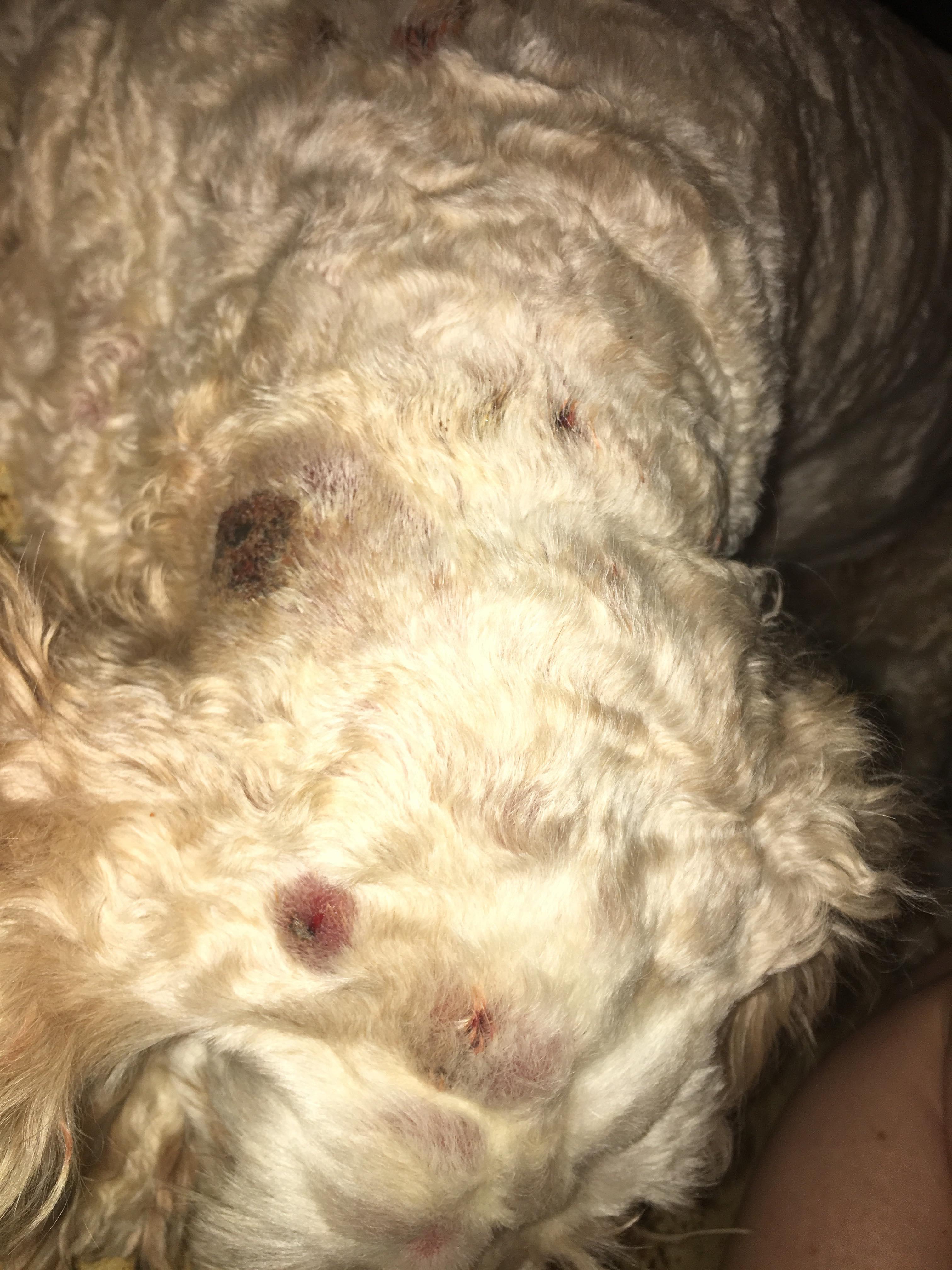 Question details sensitive content