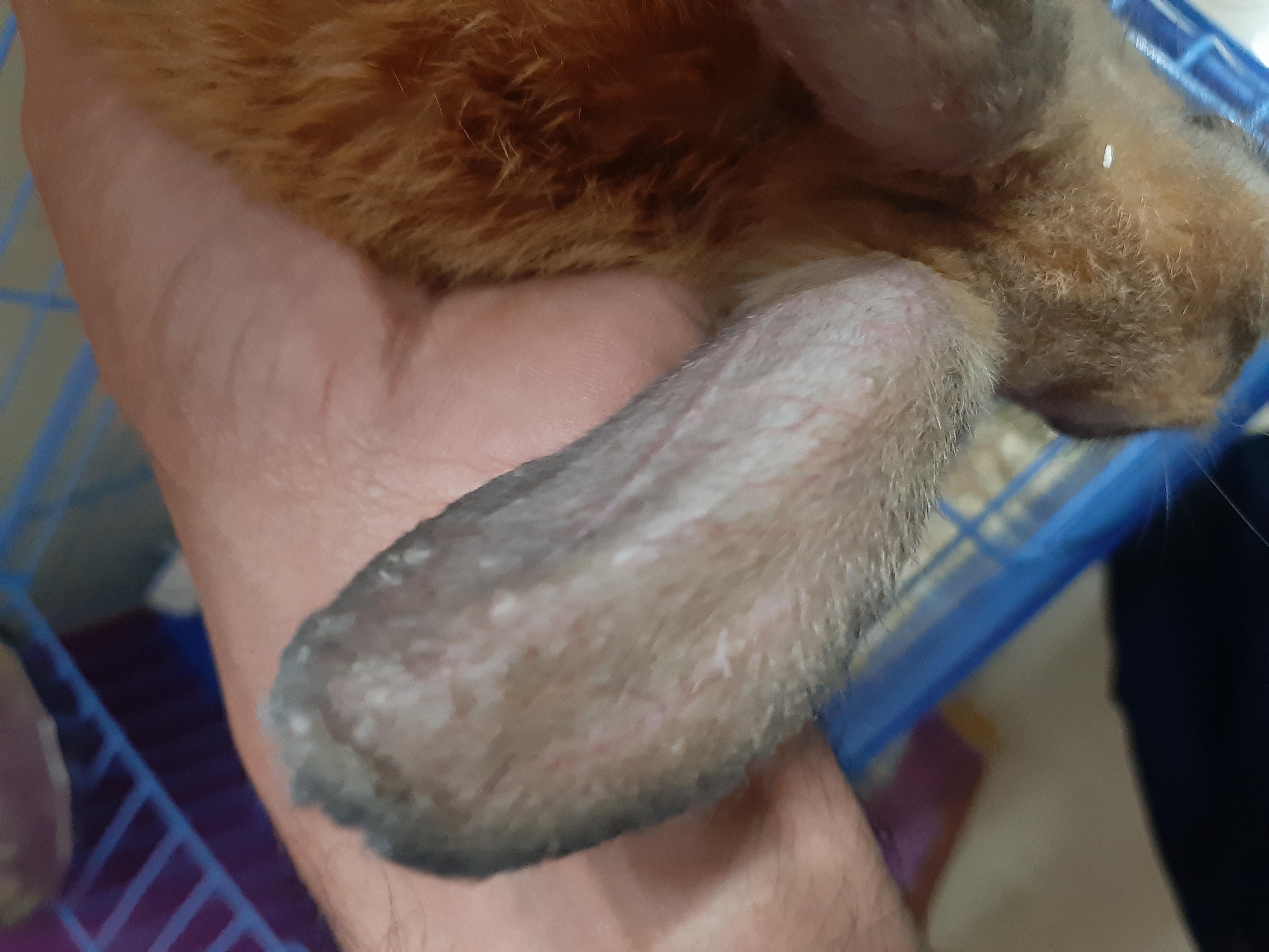 Question details sensitive content