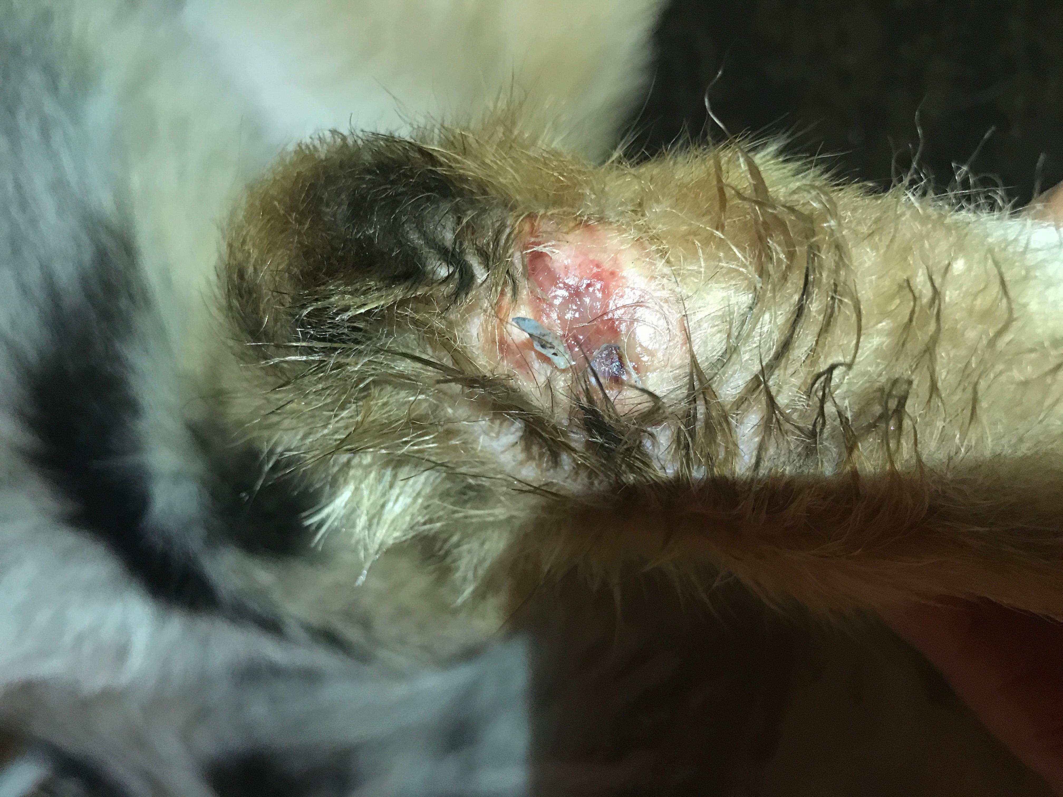 Question details sensitive content