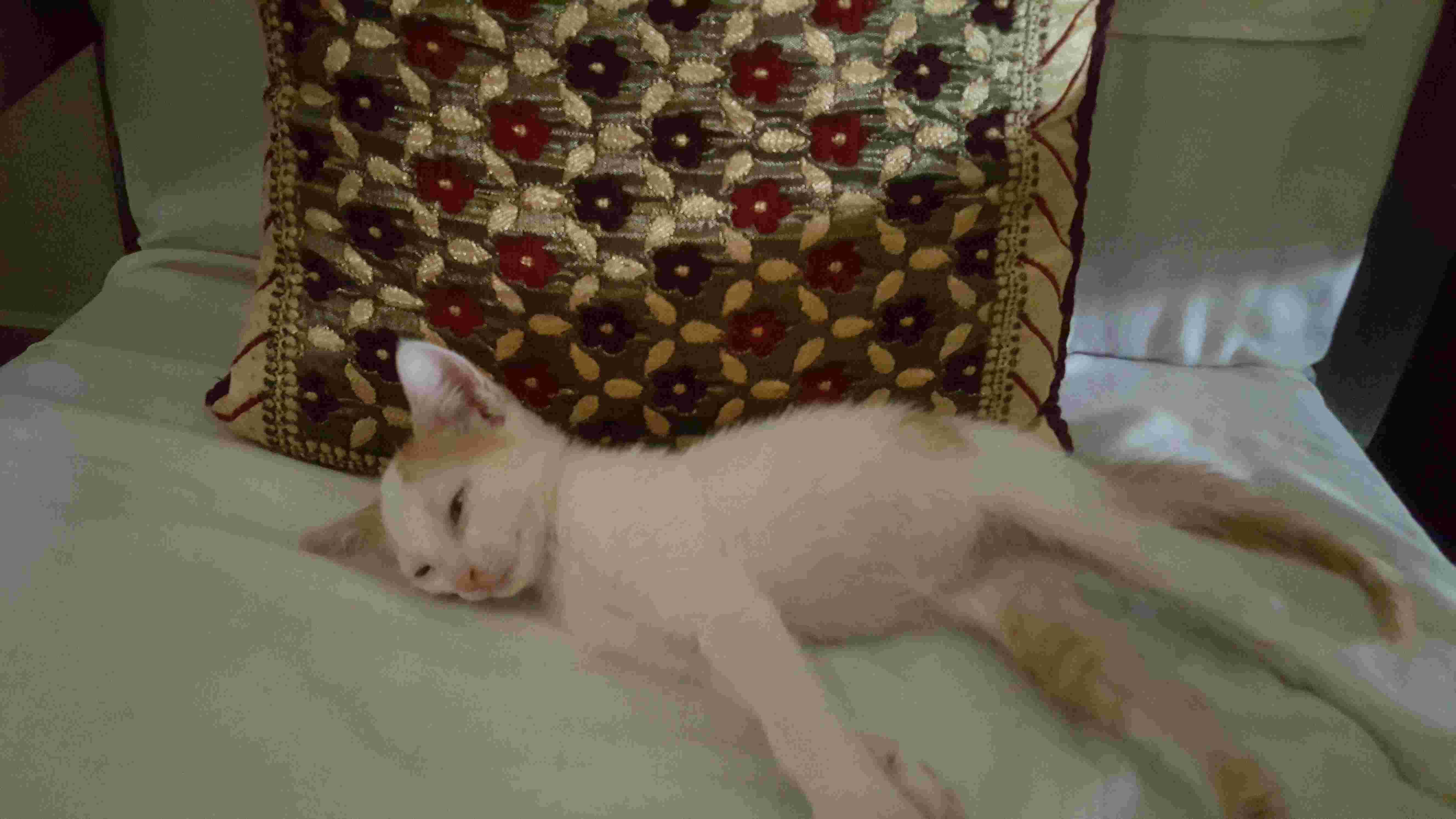 Question details sensitive content