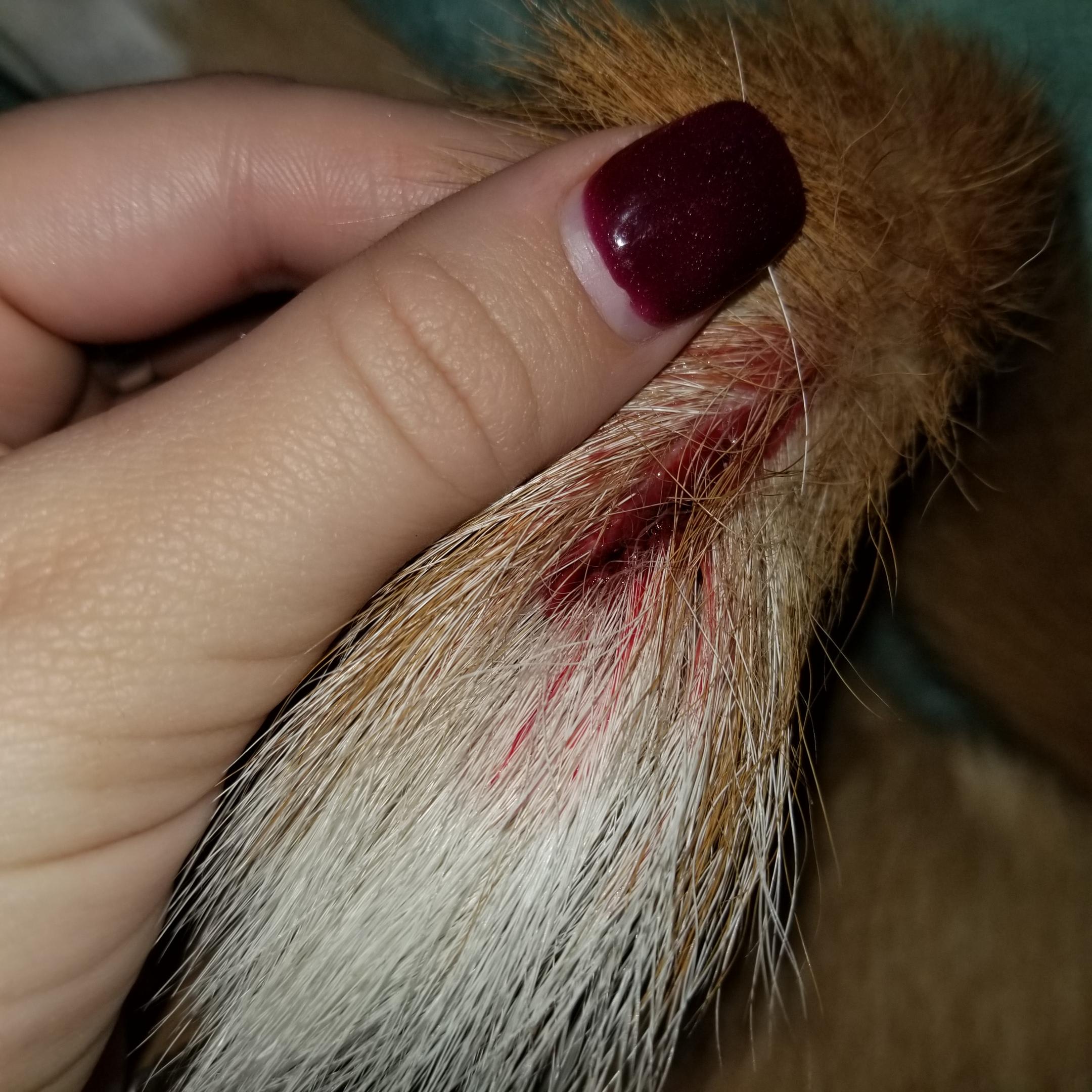 Question details sensitive content