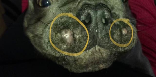 Question details sensitive content