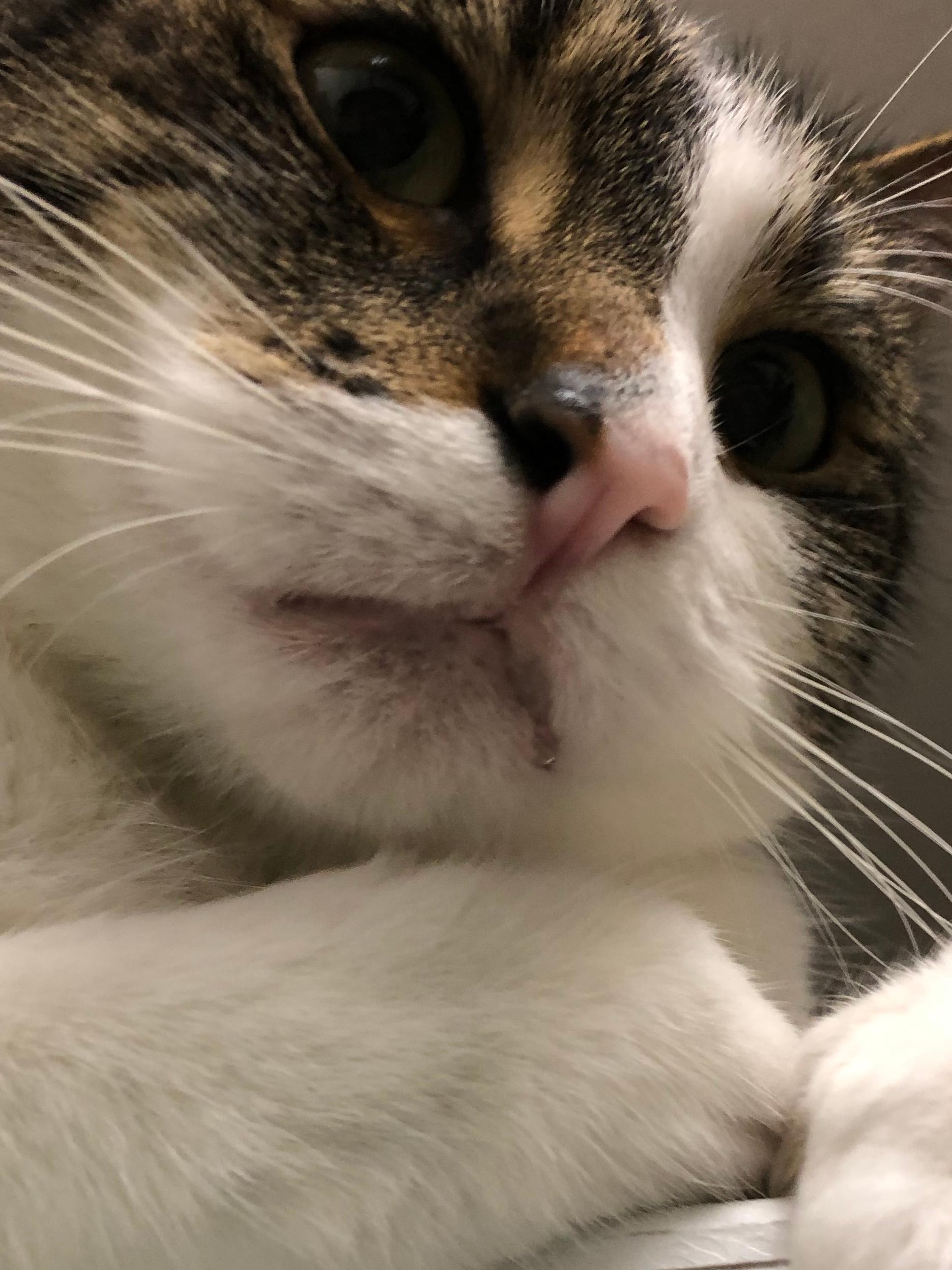 Question details sensitive content