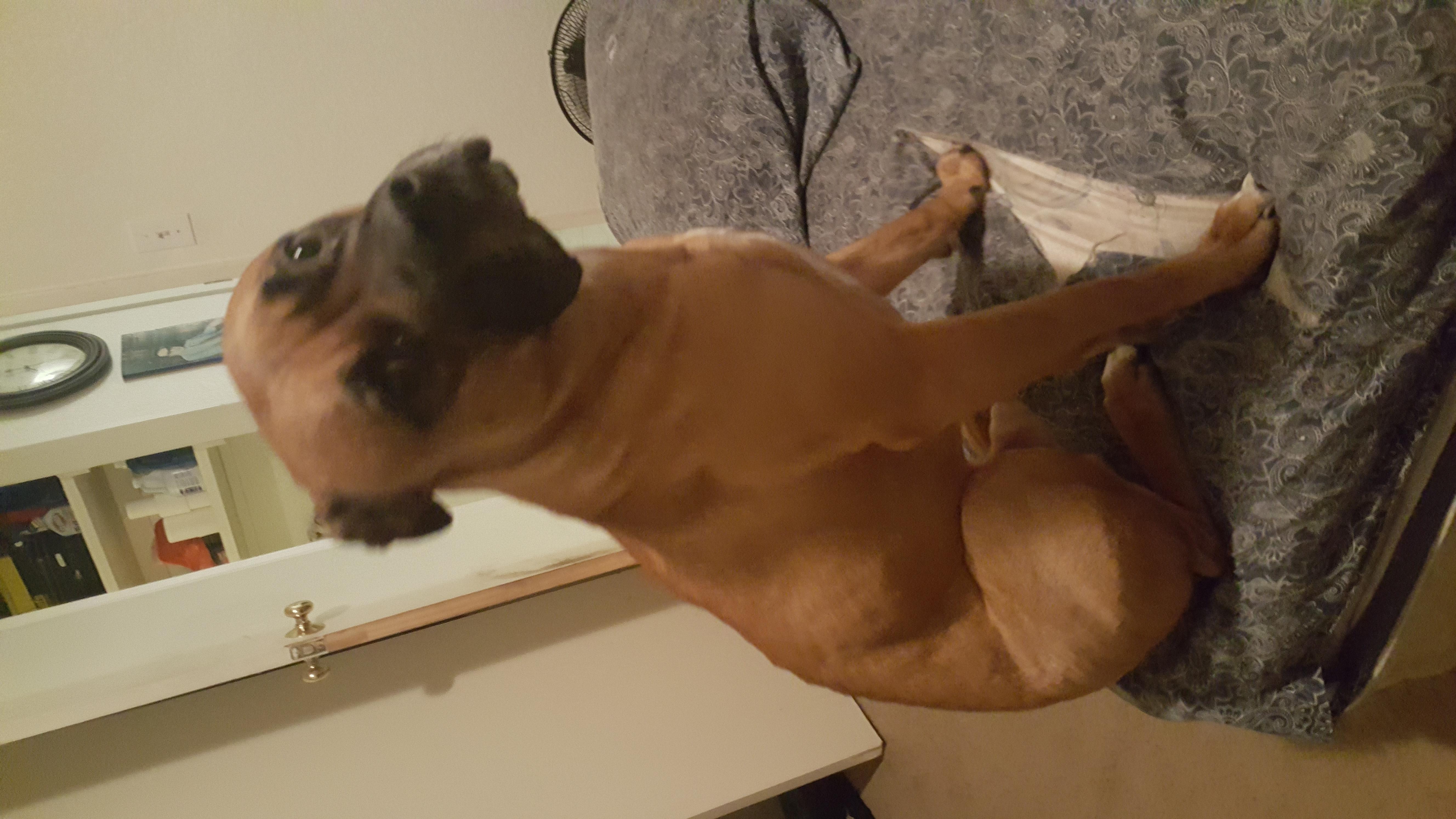 Question details sensitive content