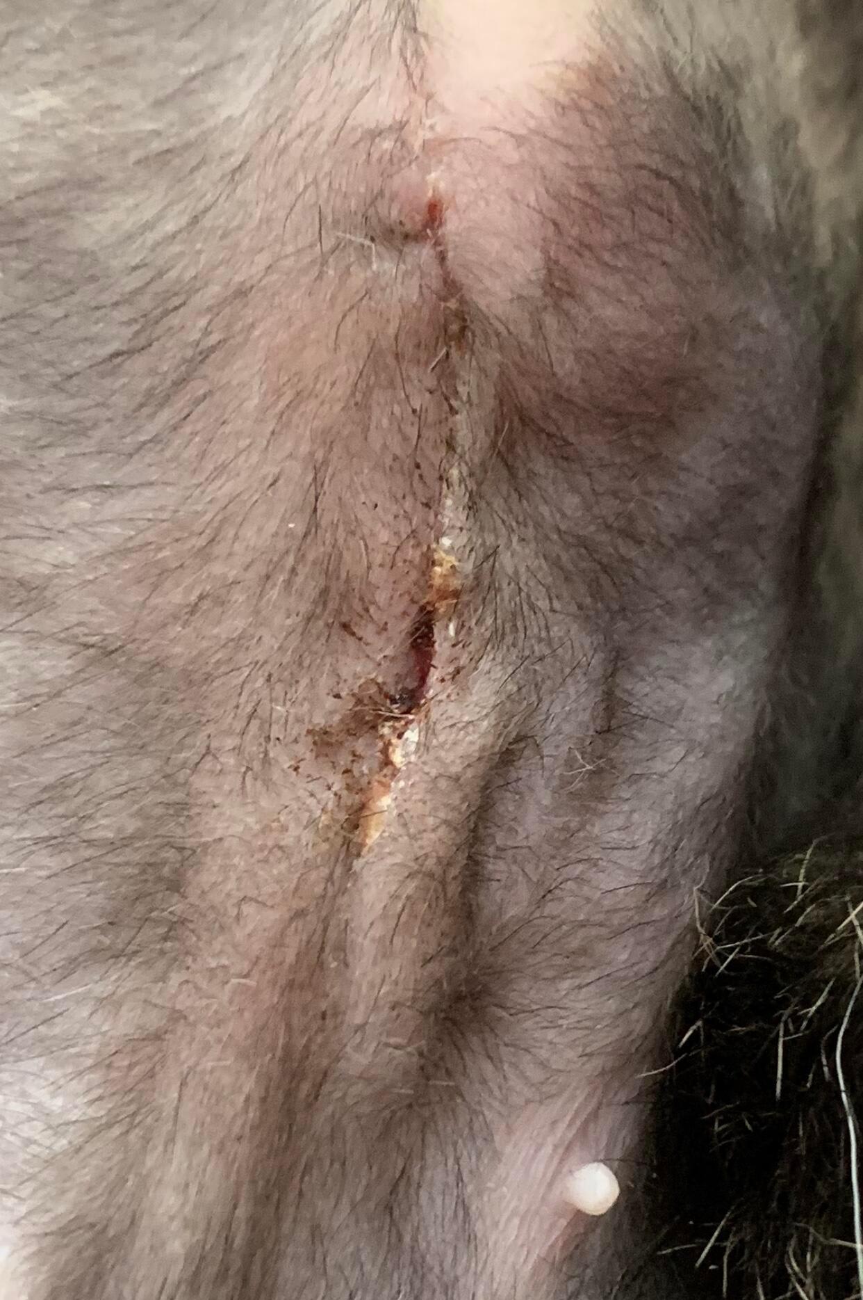 Question details sensitive content