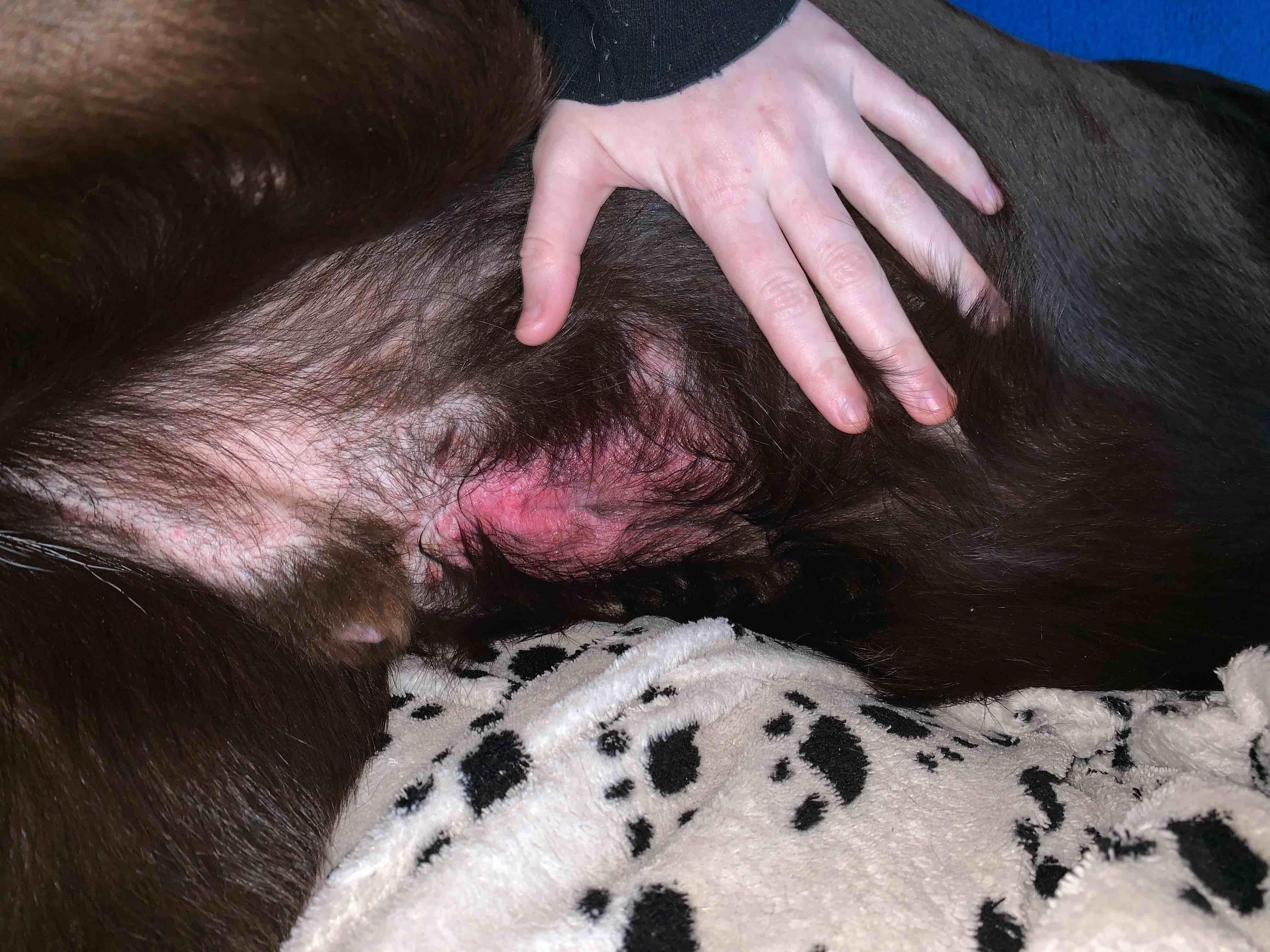 Question details sensitive content