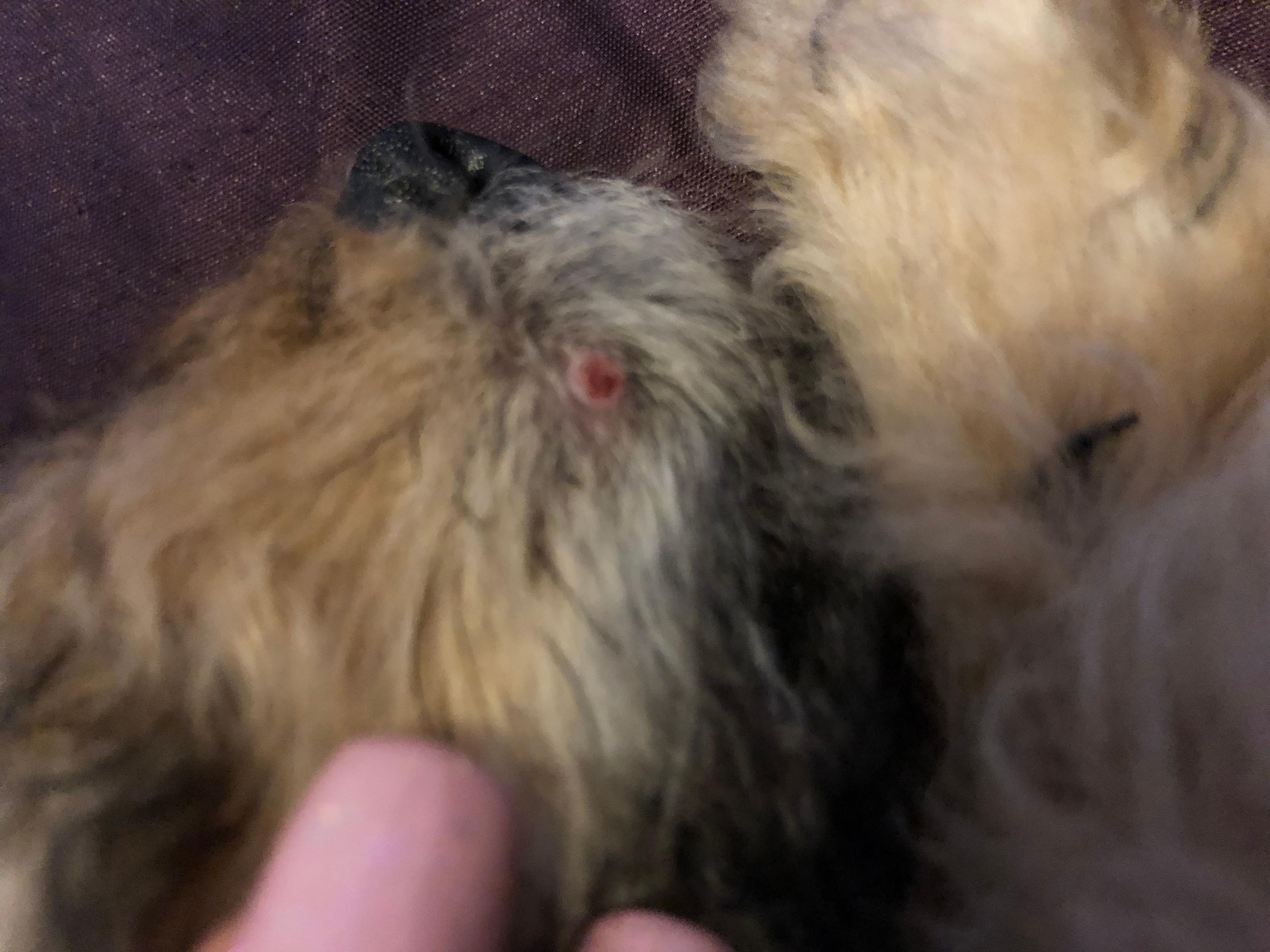 Question details sensitive content