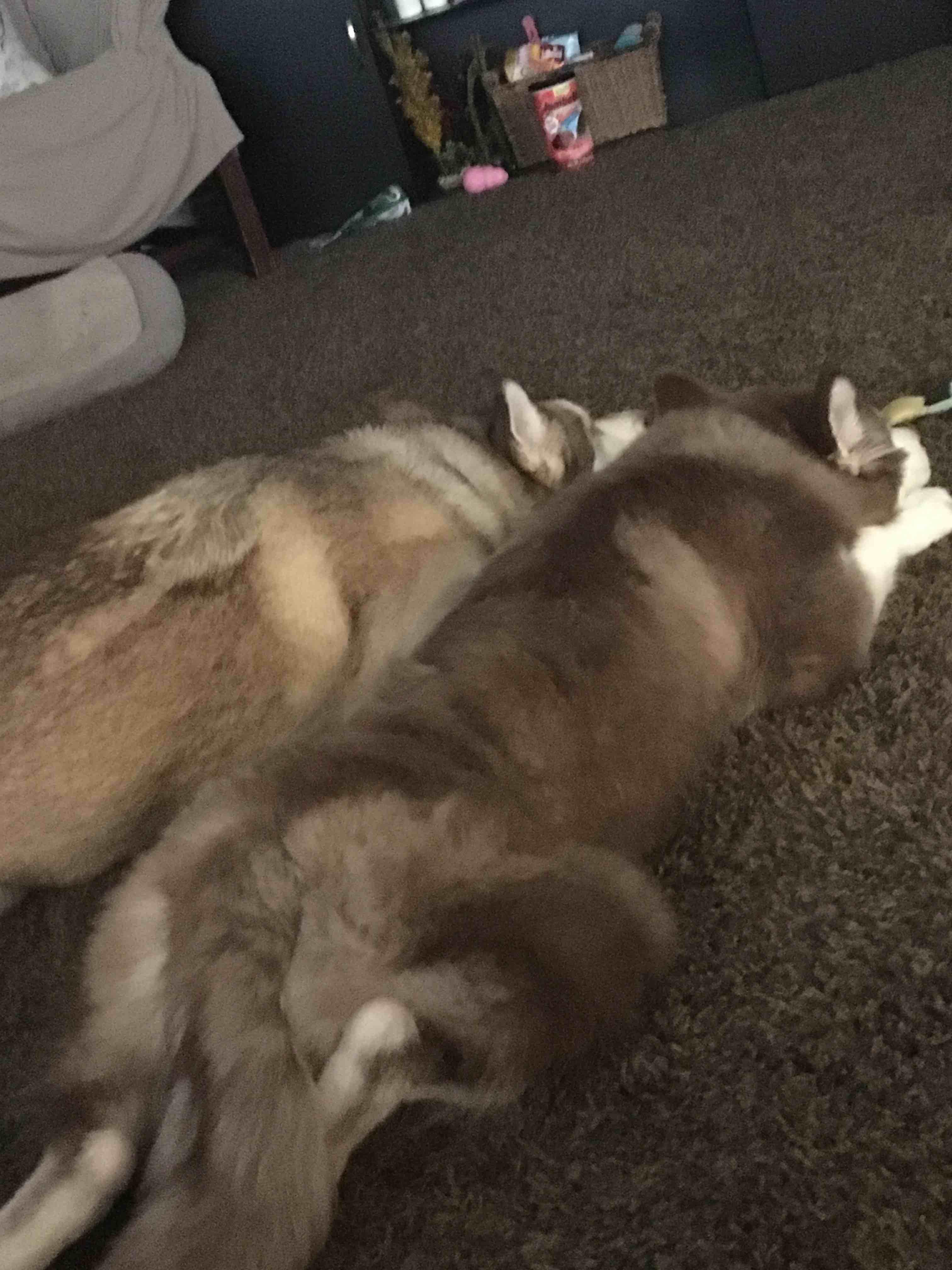 Question details sensitive content