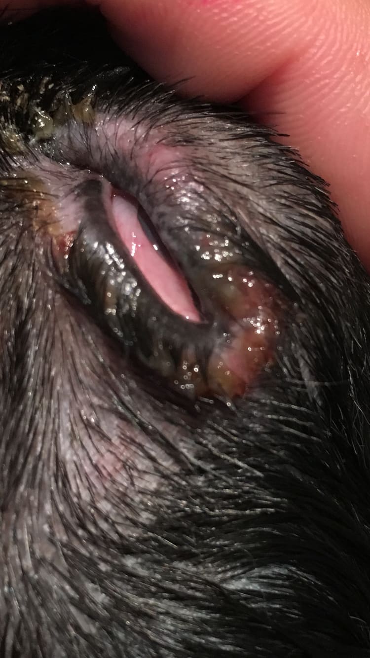 Question details sensitive content