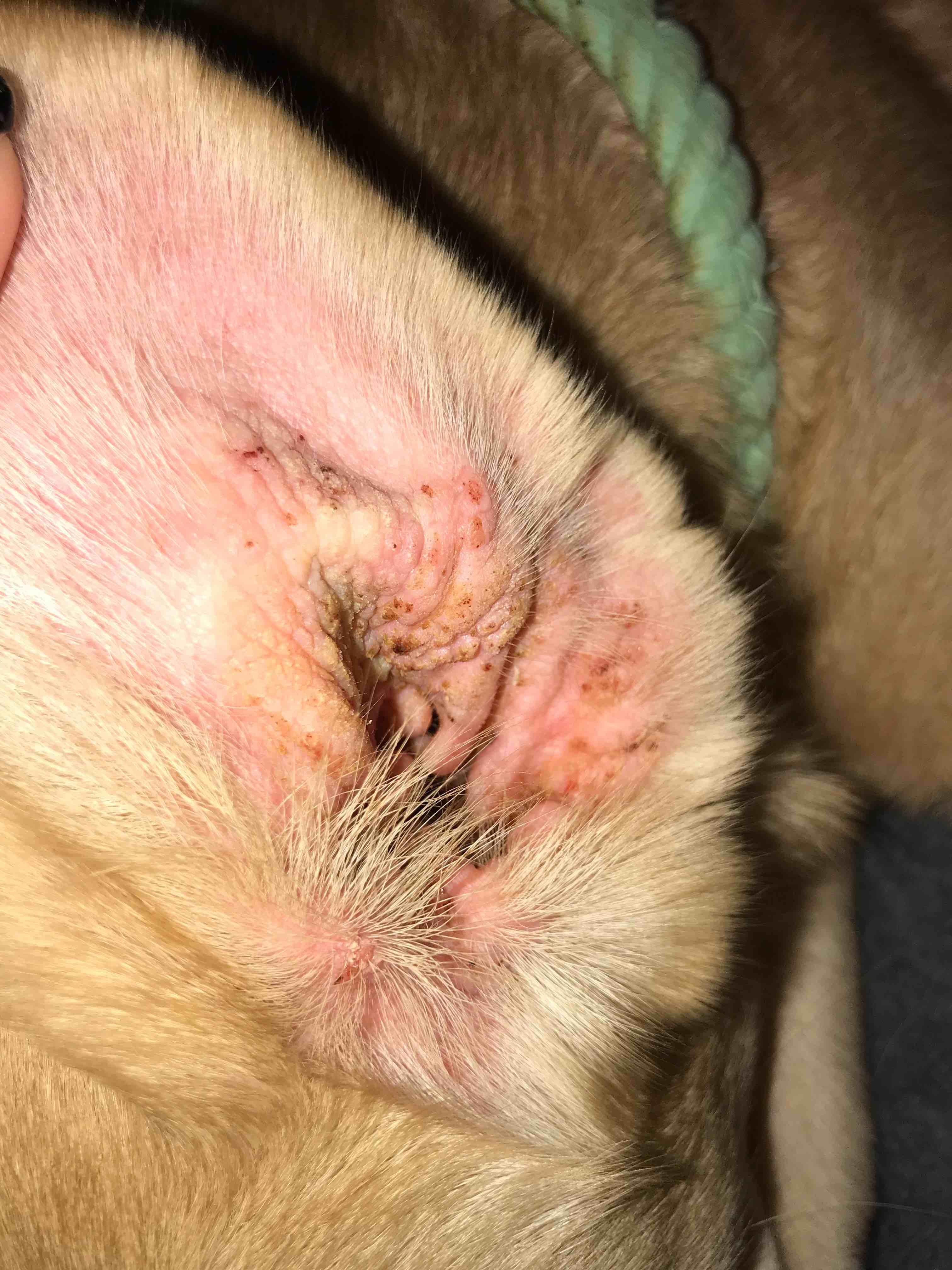 Question details sensitive content