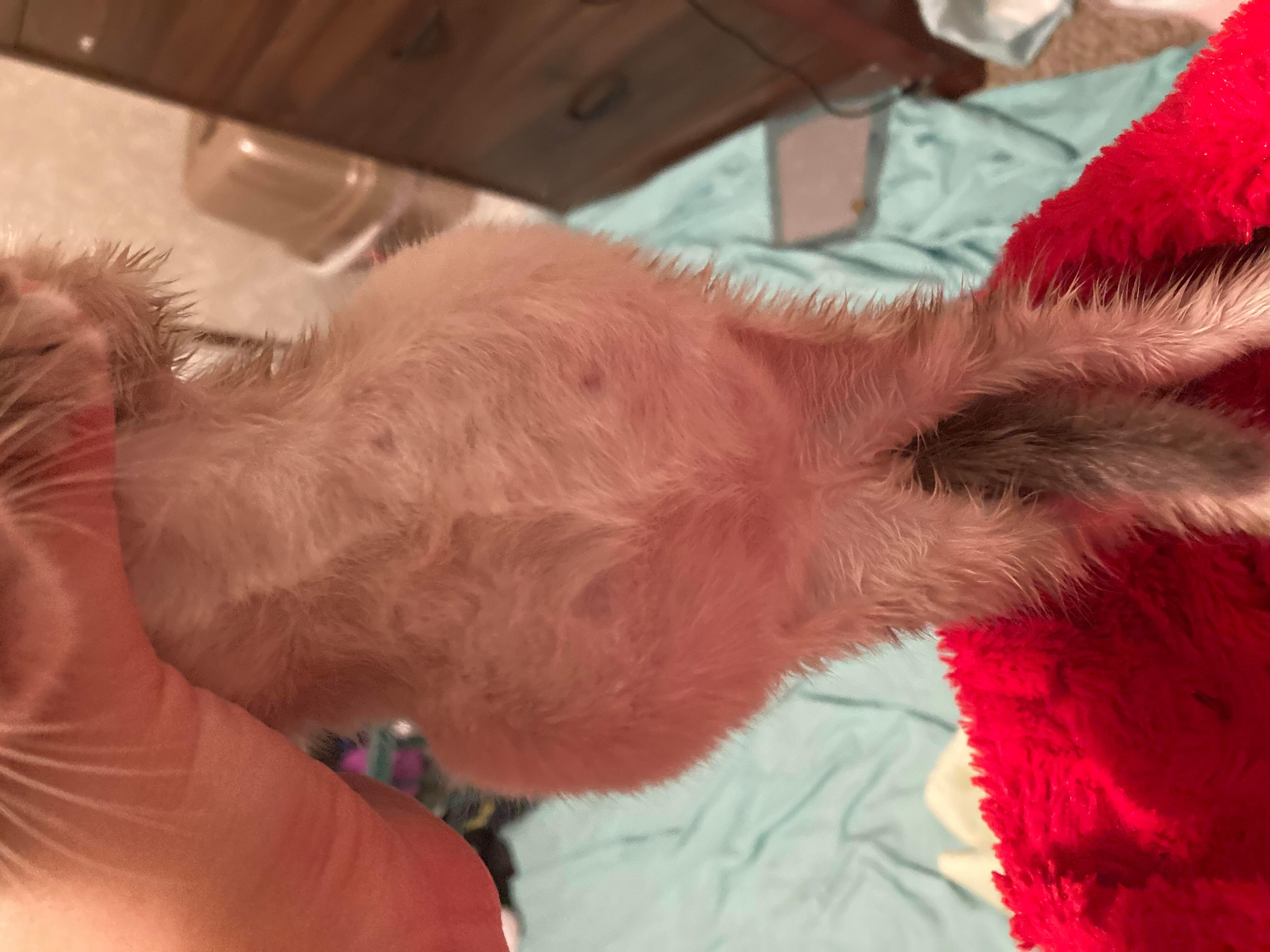 Question details sensitive content