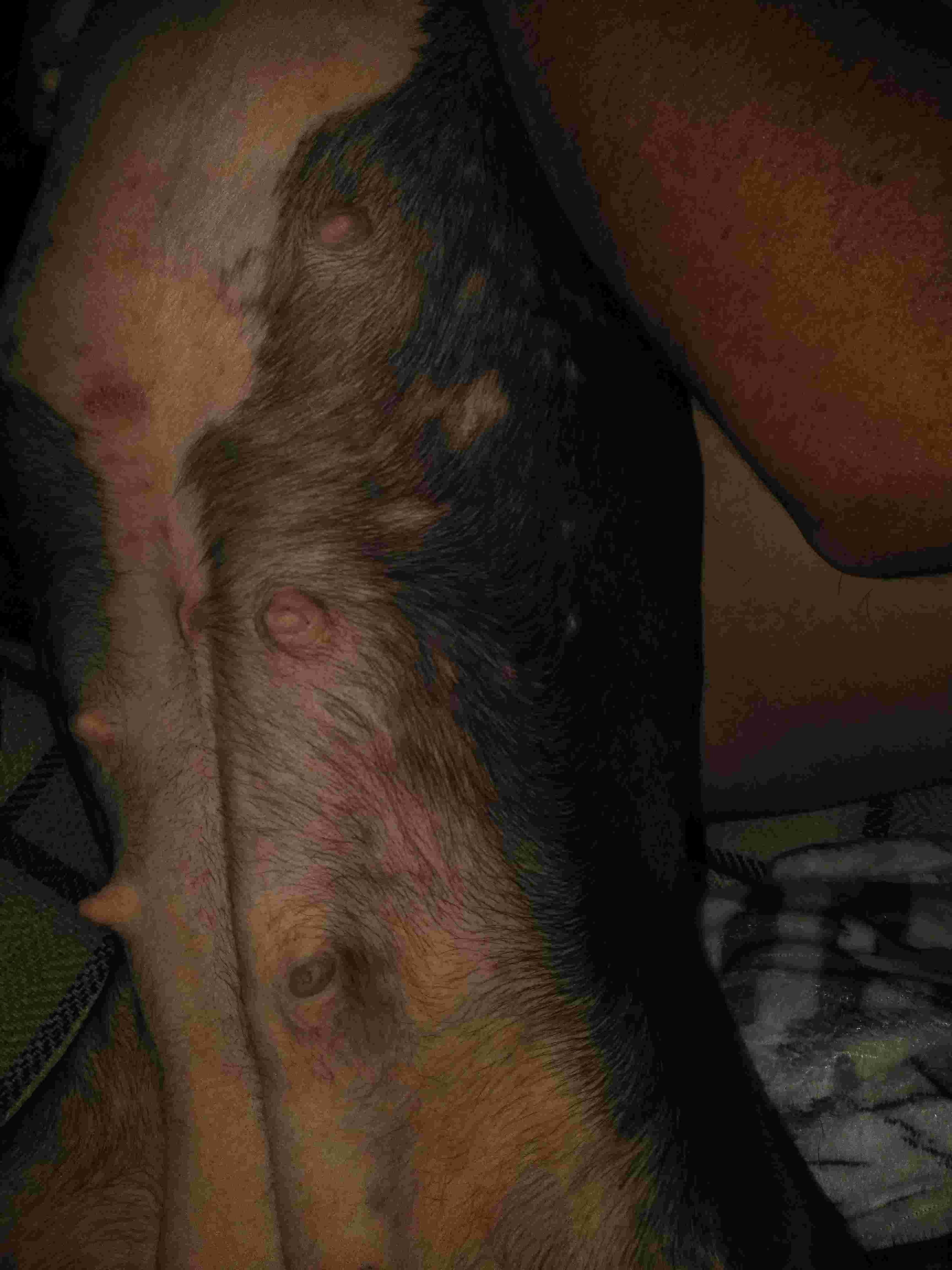 Question details sensitive content