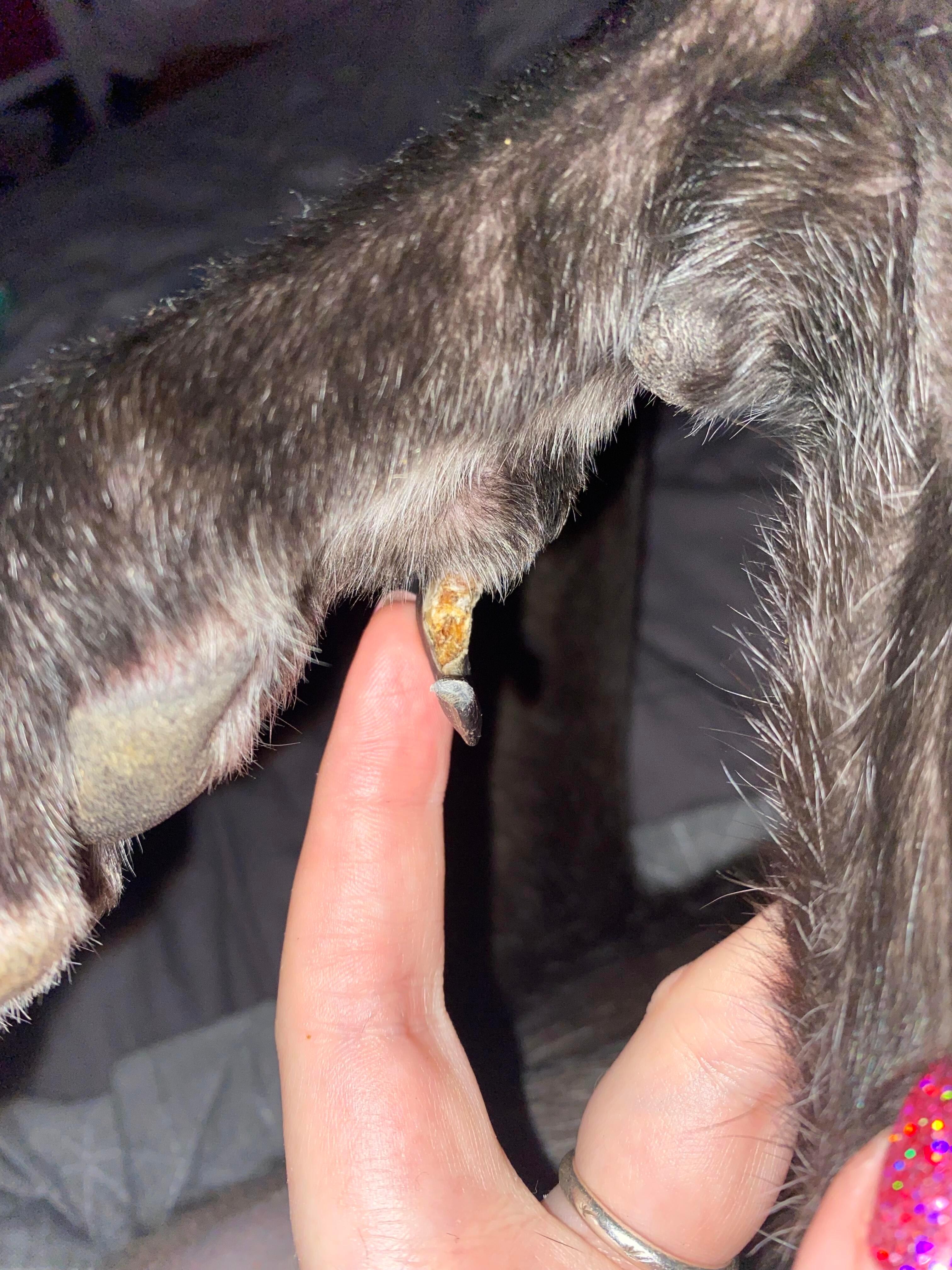 Question details sensitive content