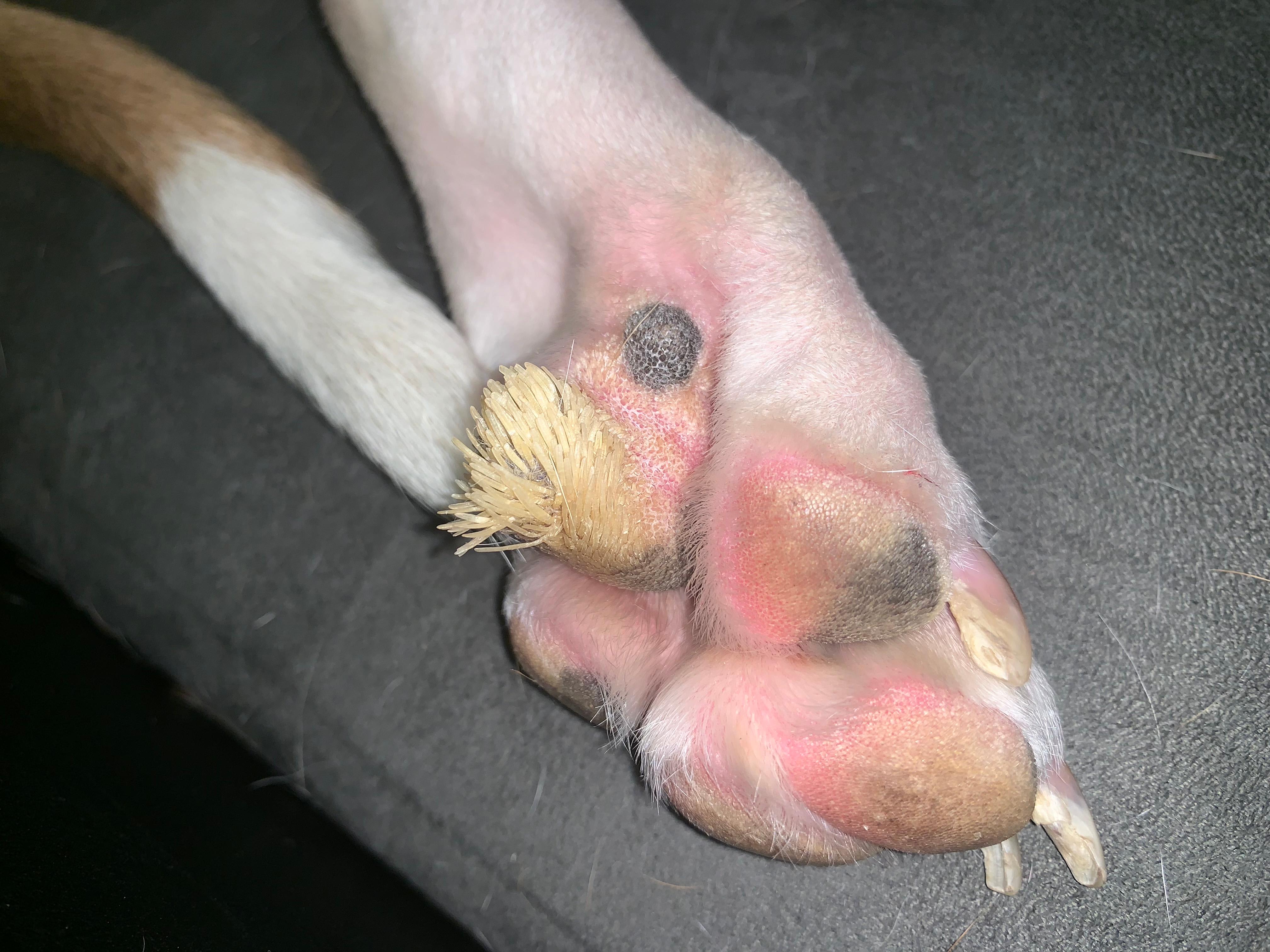 Question details sensitive content