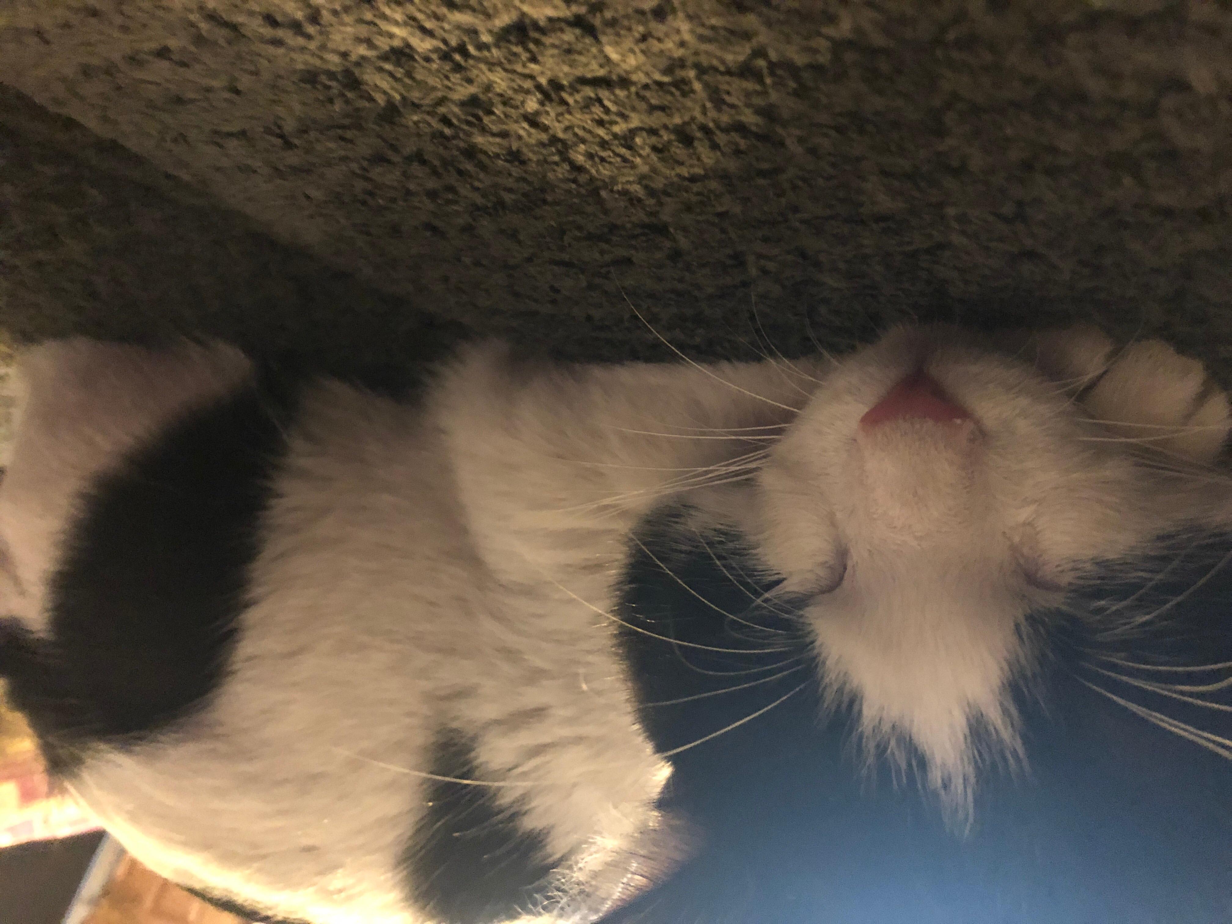 Question details sensitive content