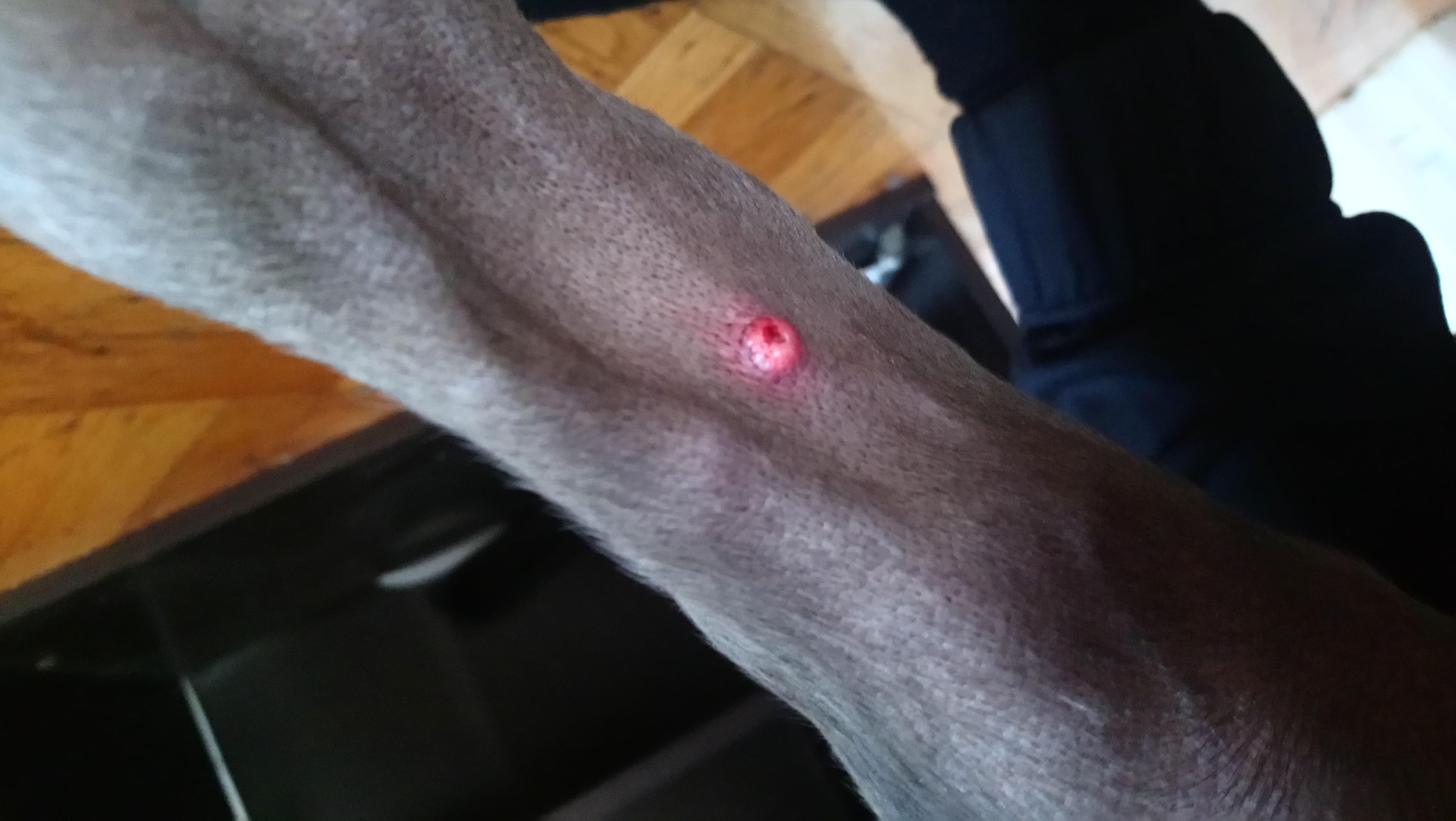 Question details sensitive content