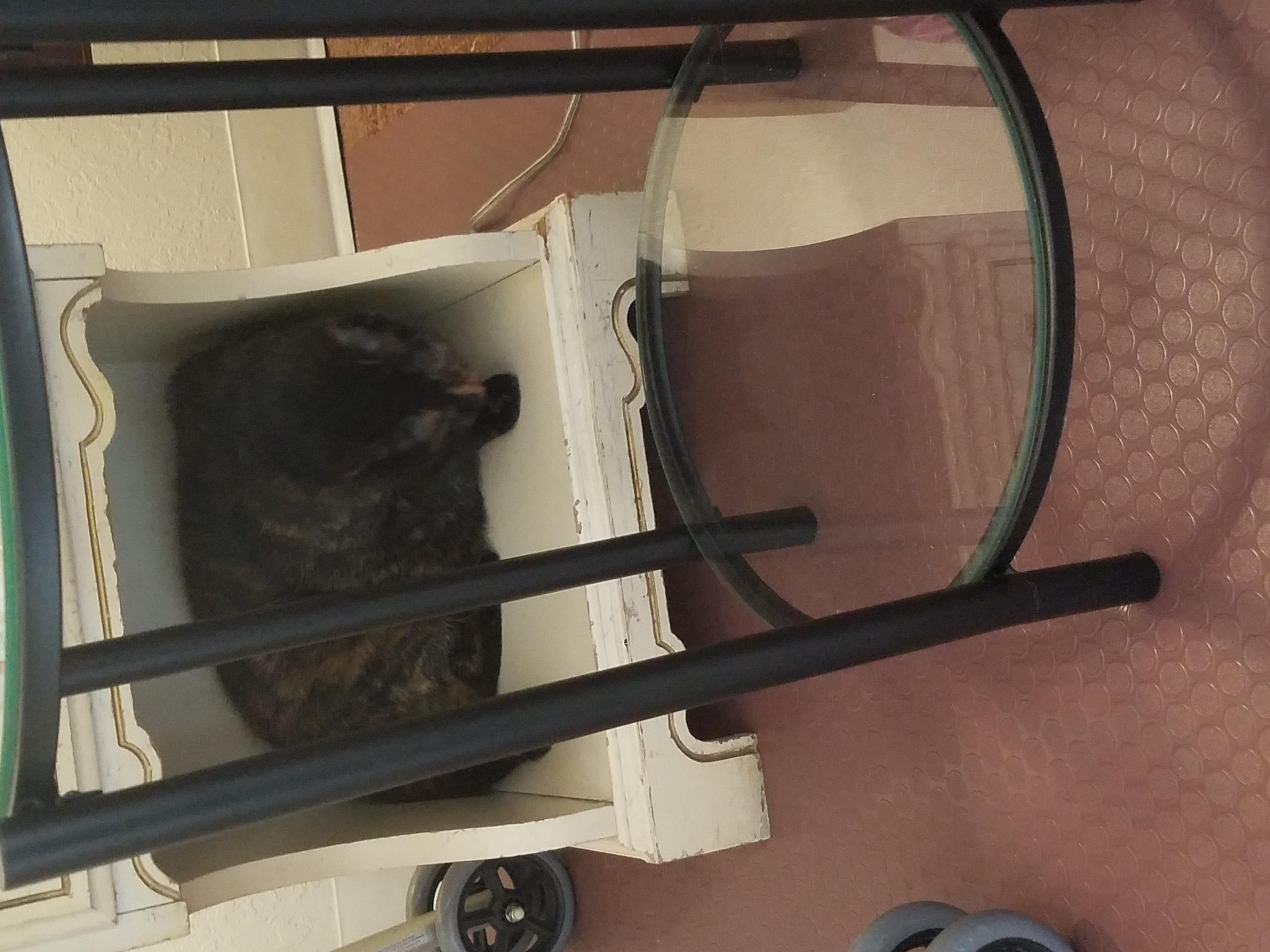 Question details sensitive content