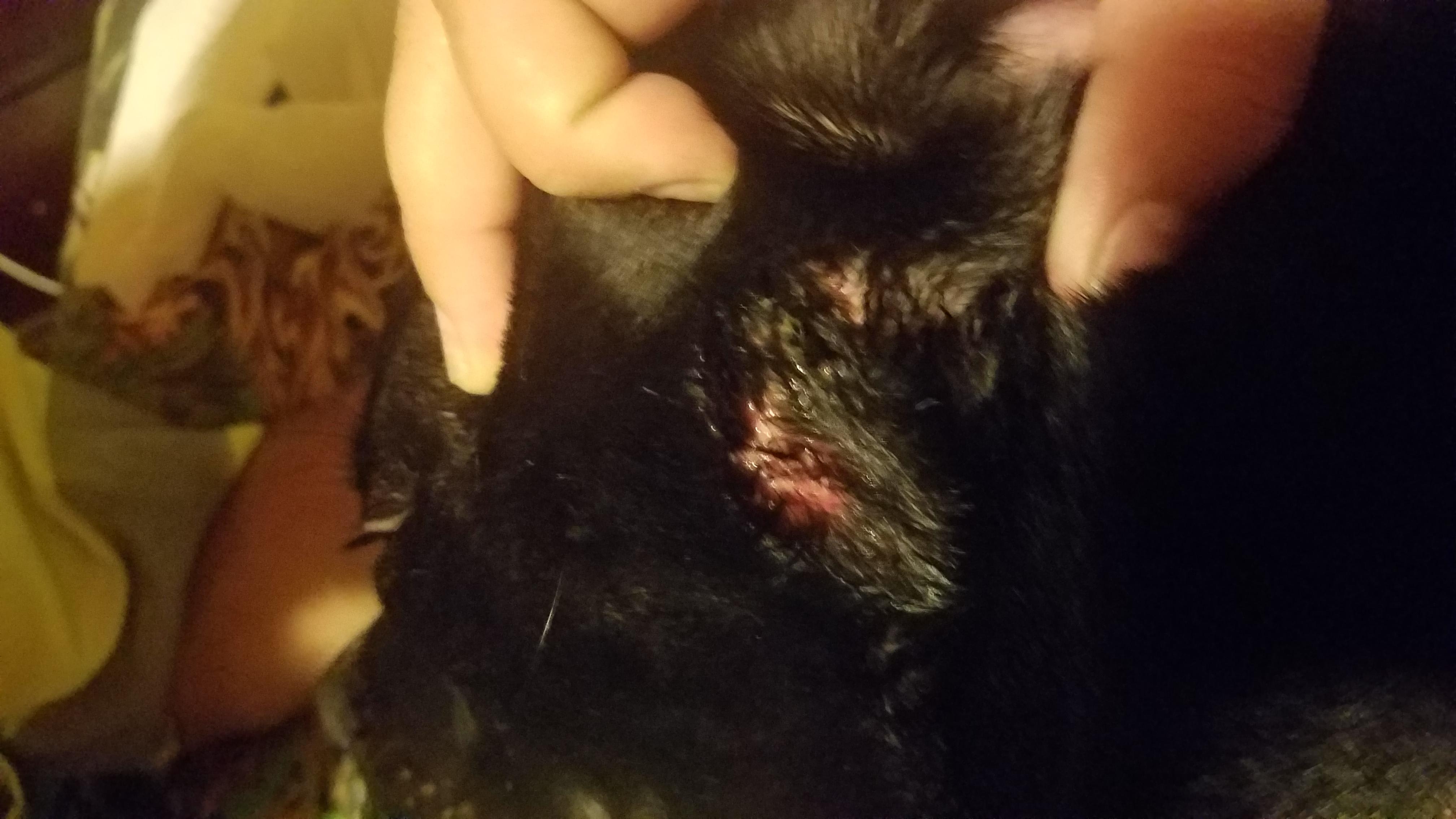 Question details sensitive content