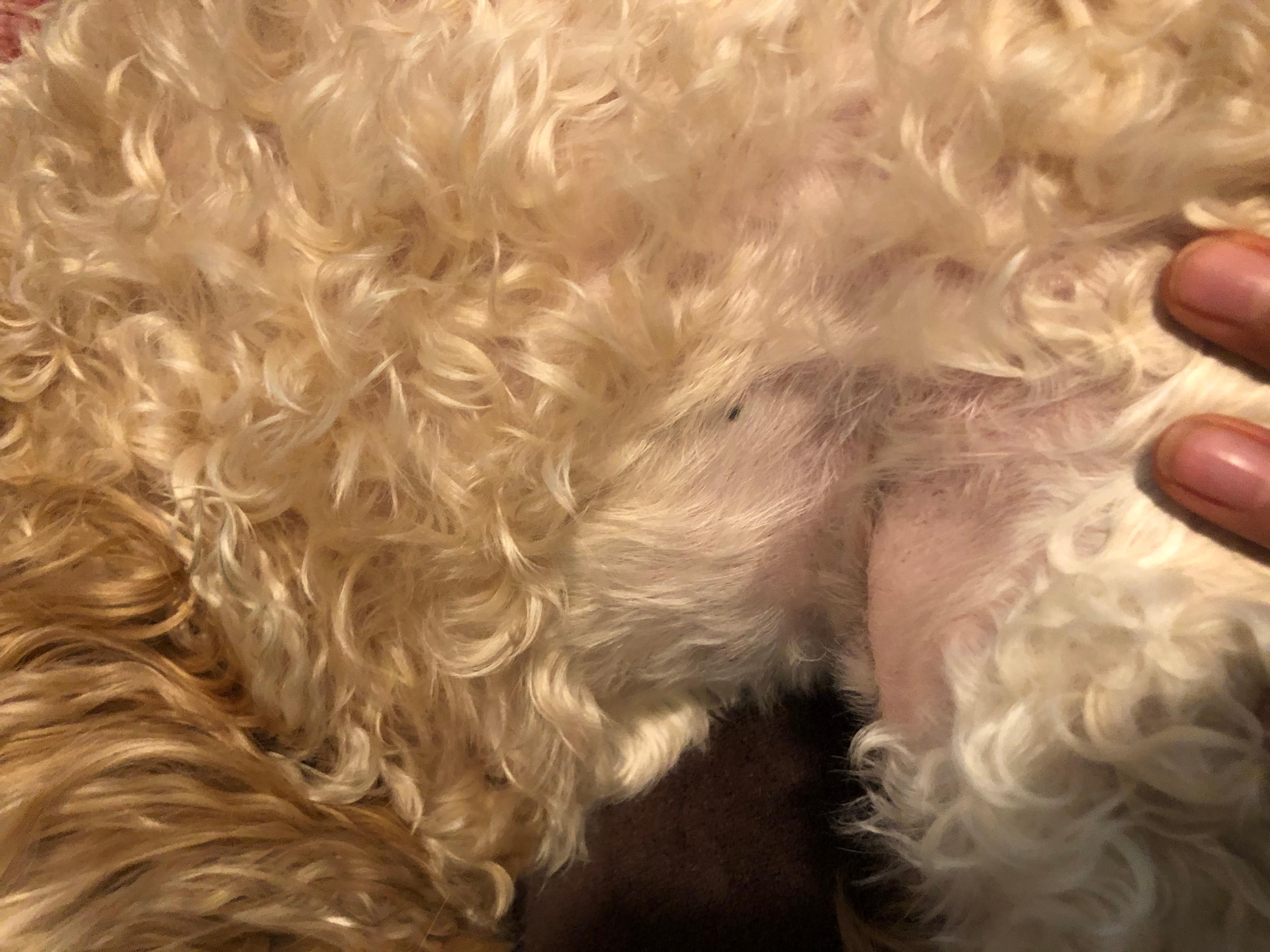 Question details sensitive content