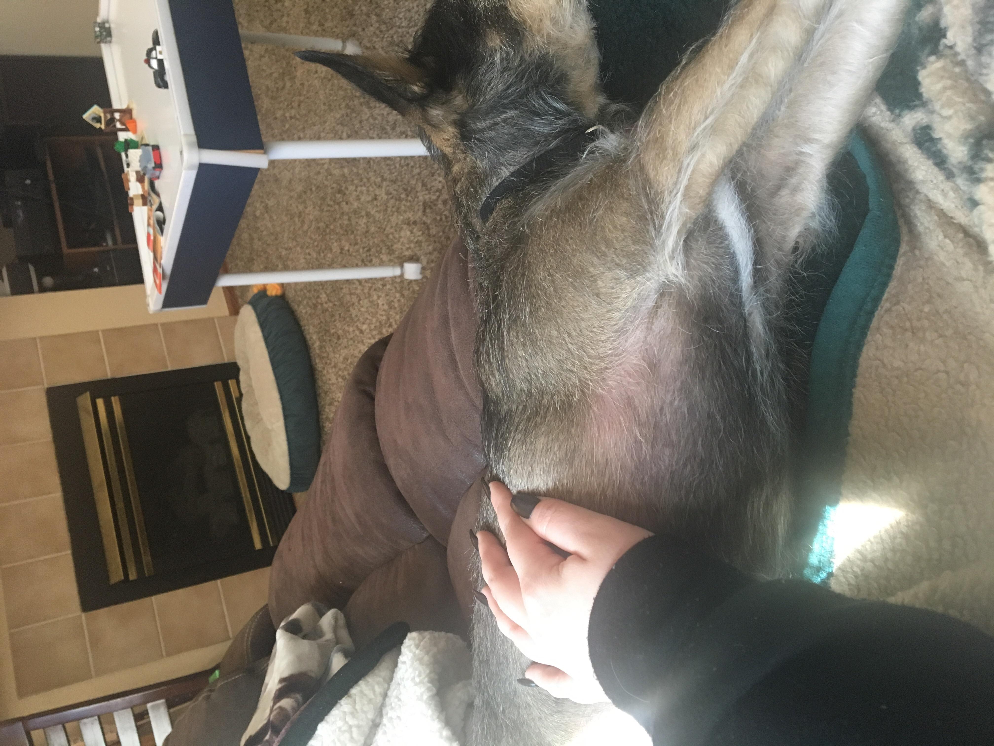 Question details sensitive content