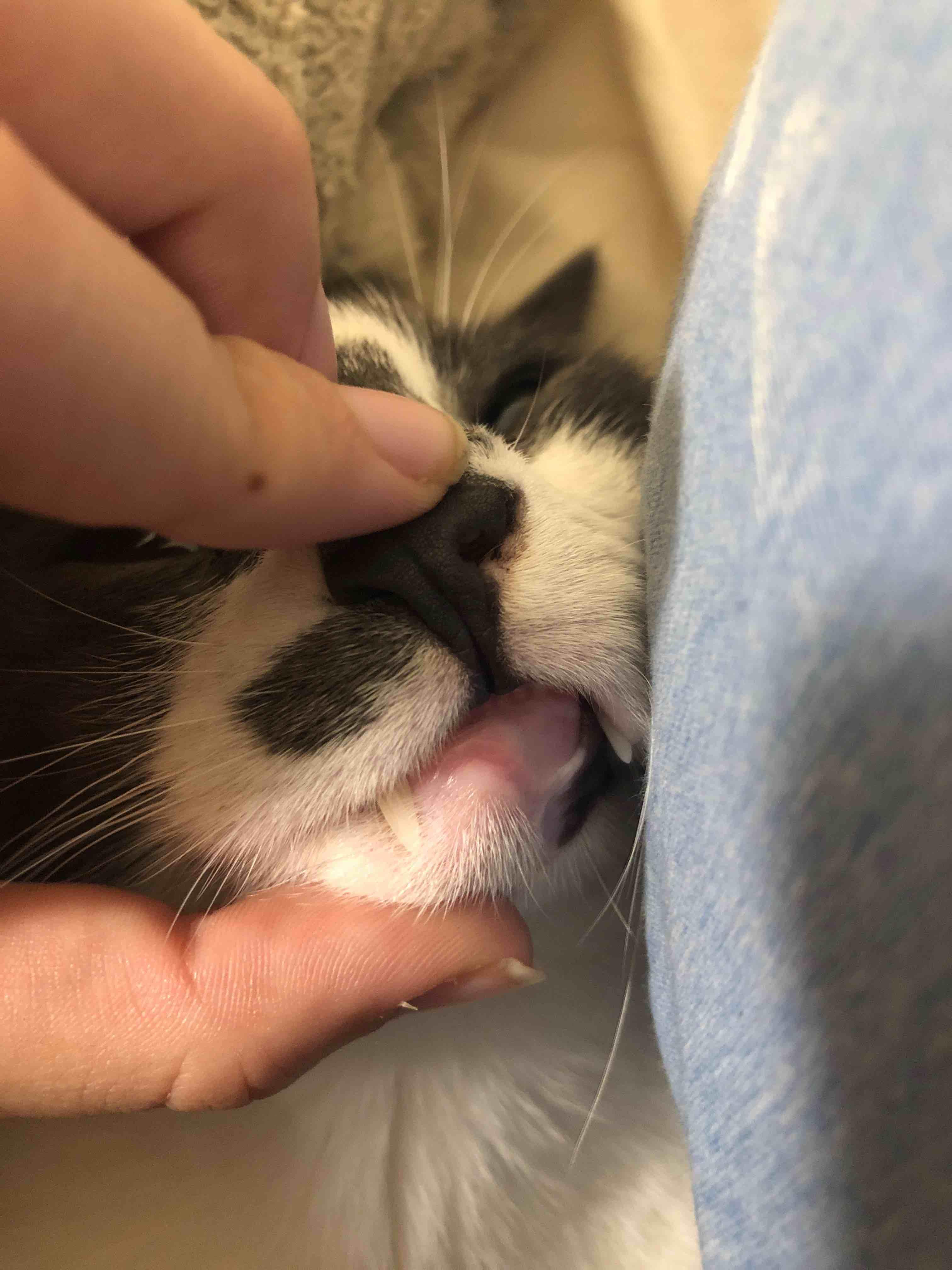 Question details sensitive content