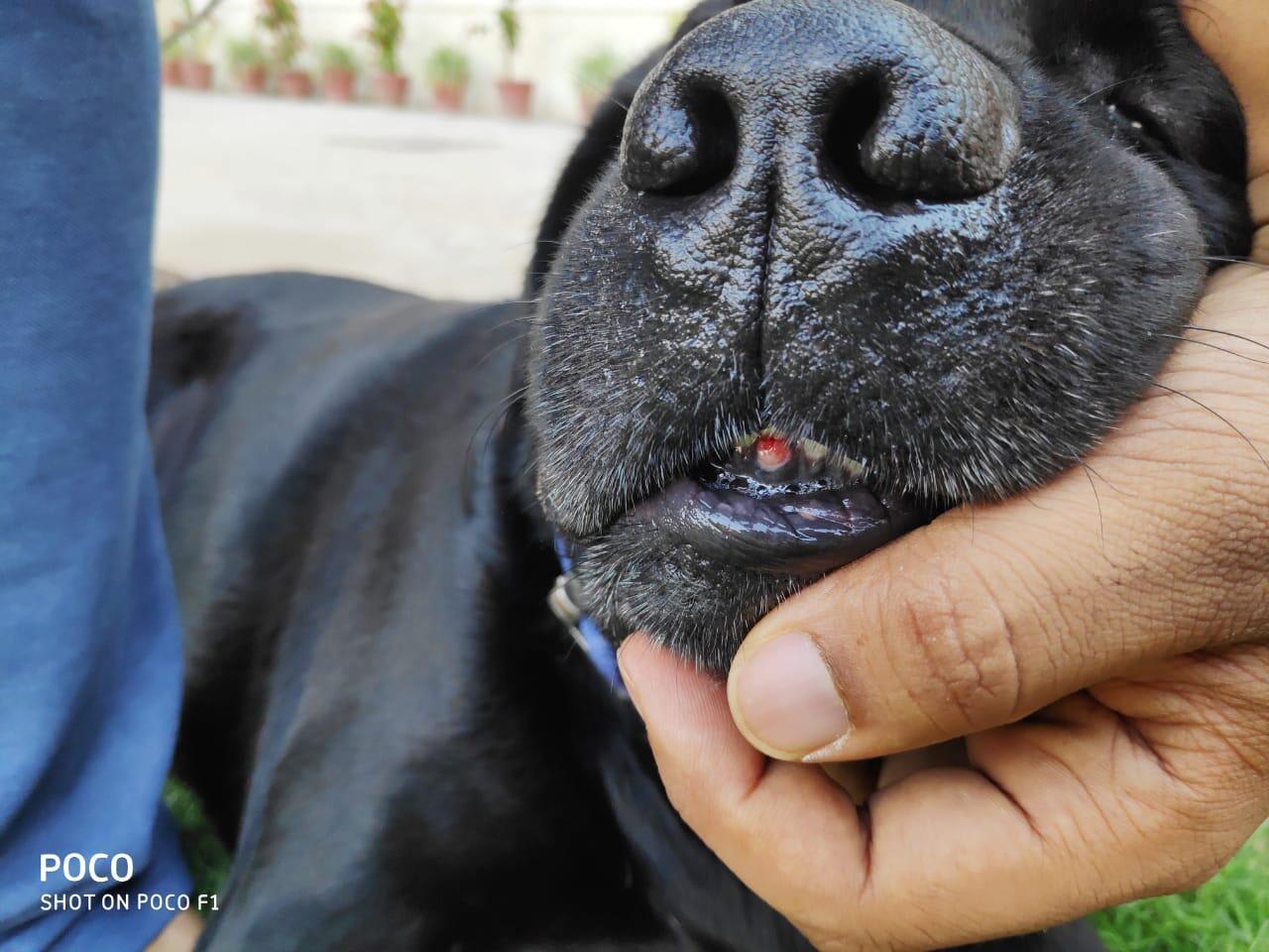 Question details sensitive content