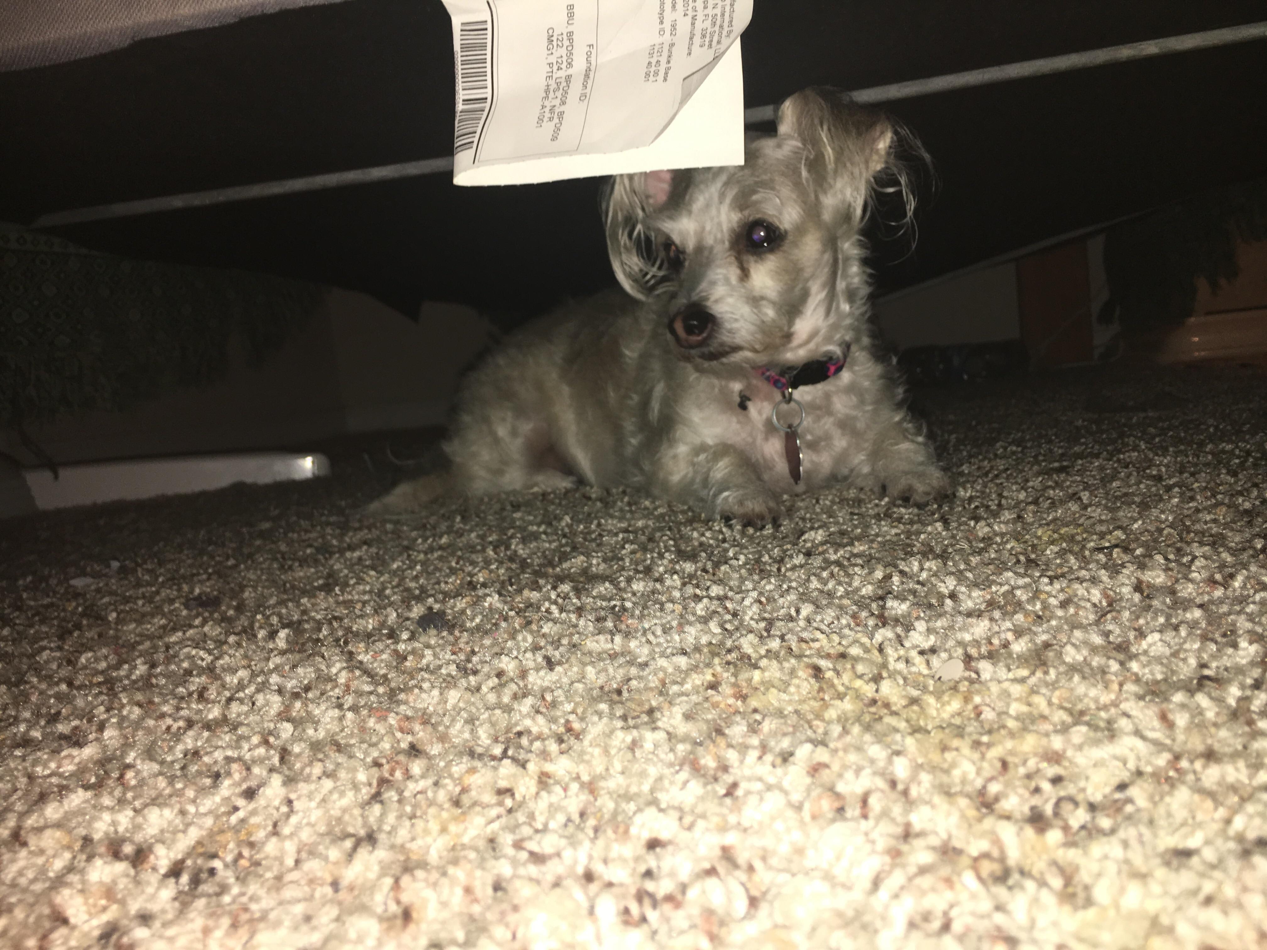 Question details sensitive content