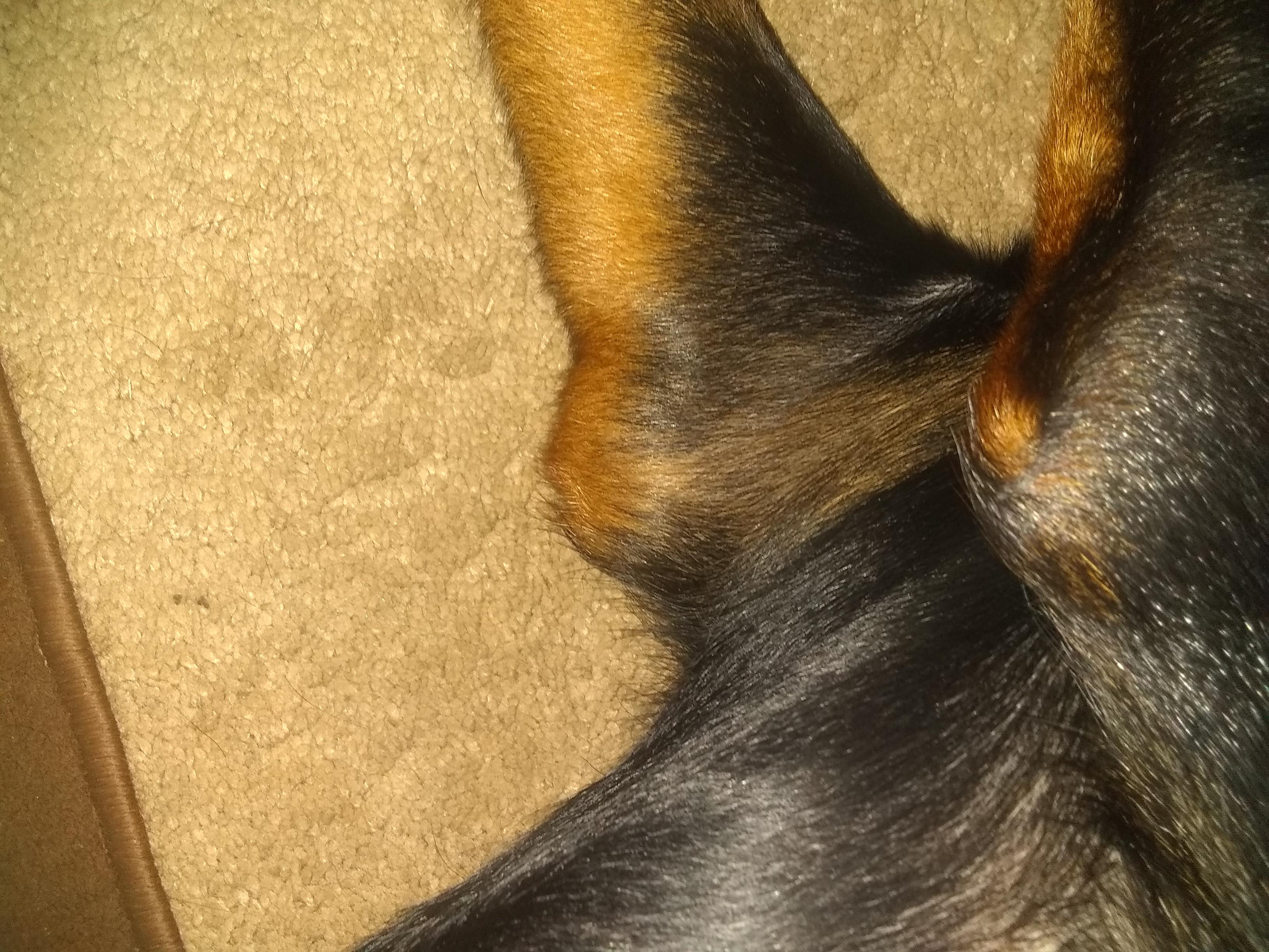 Question details sensitive content