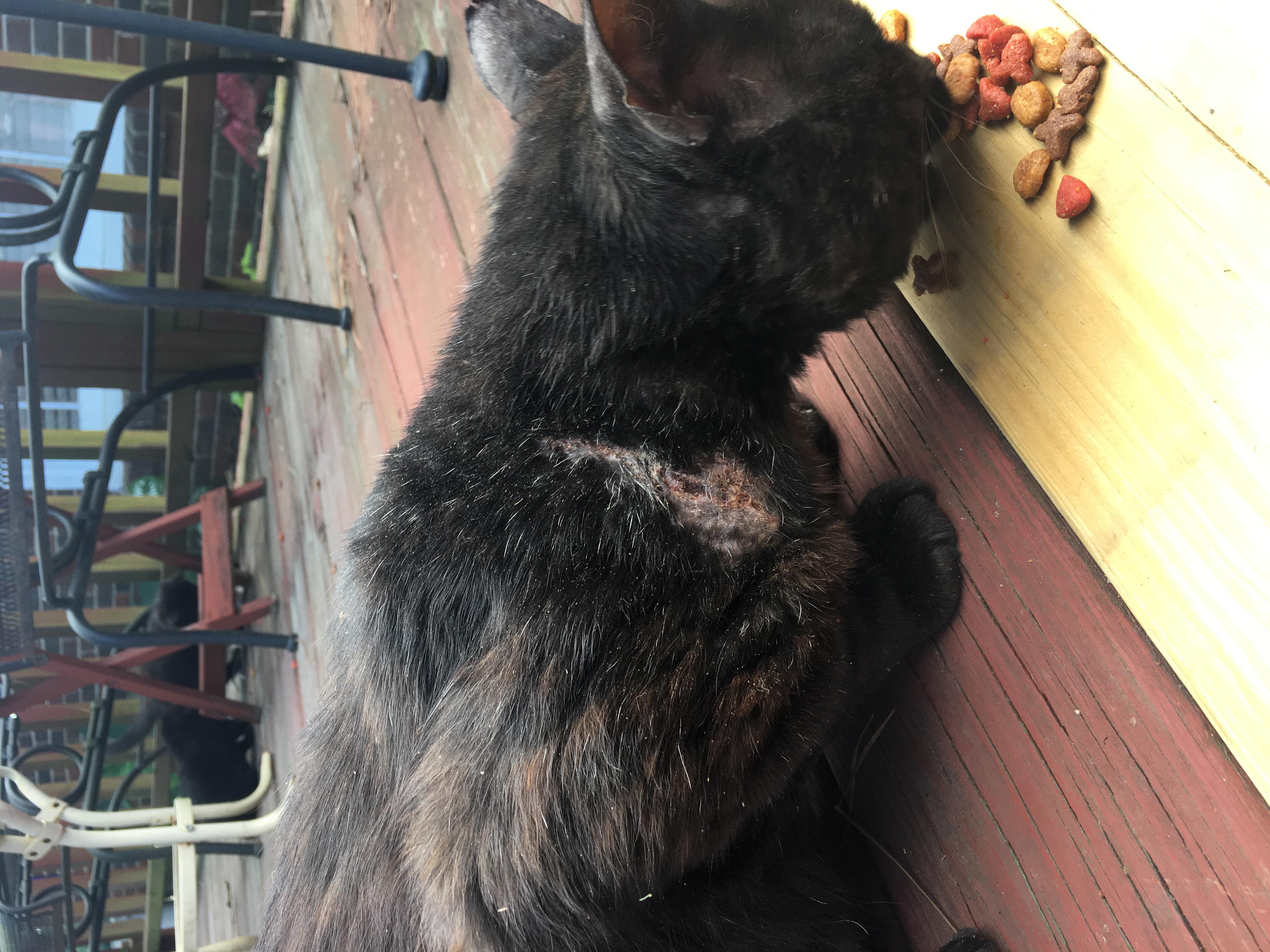 Question details sensitive content