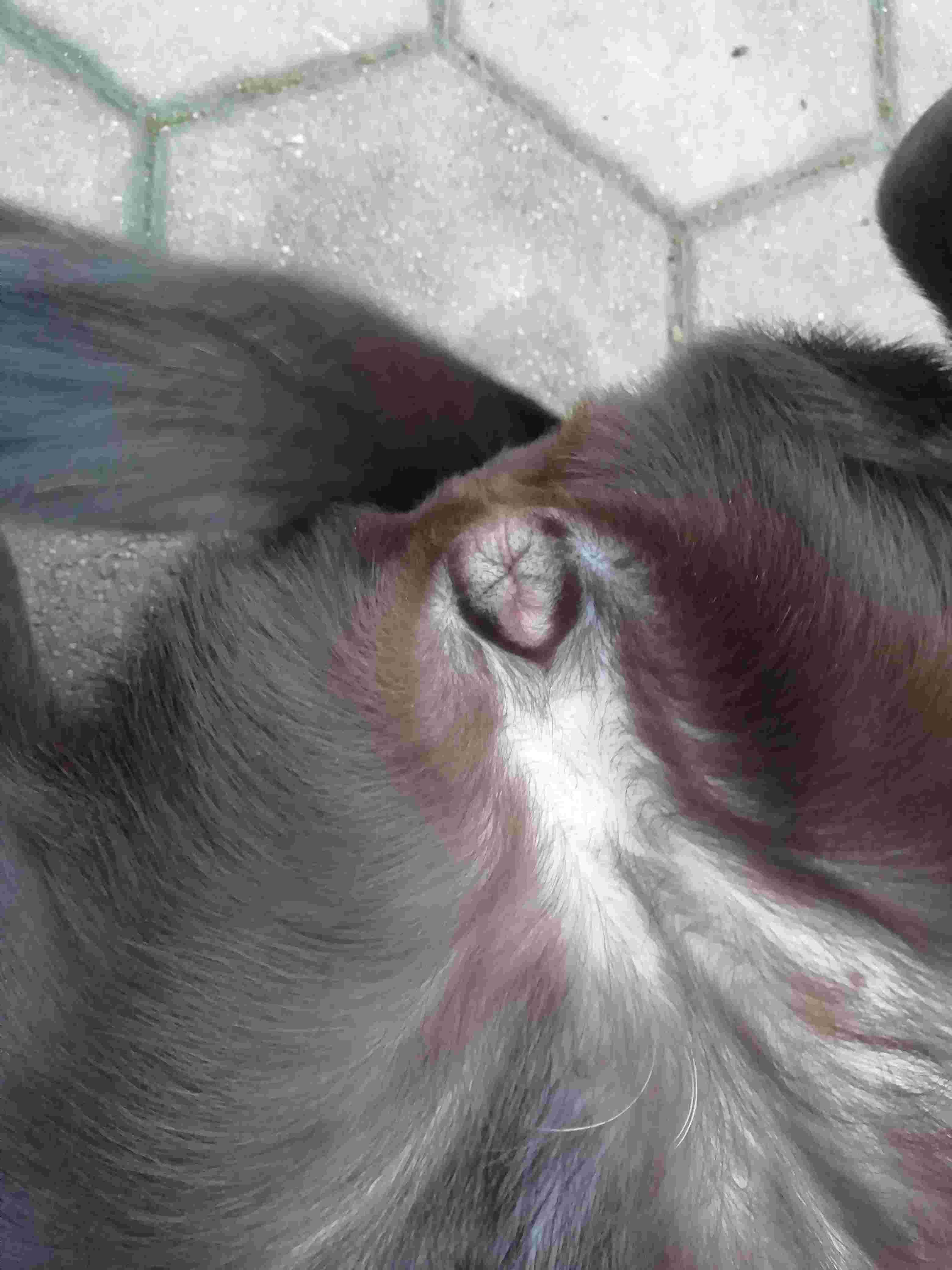 Question details sensitive content