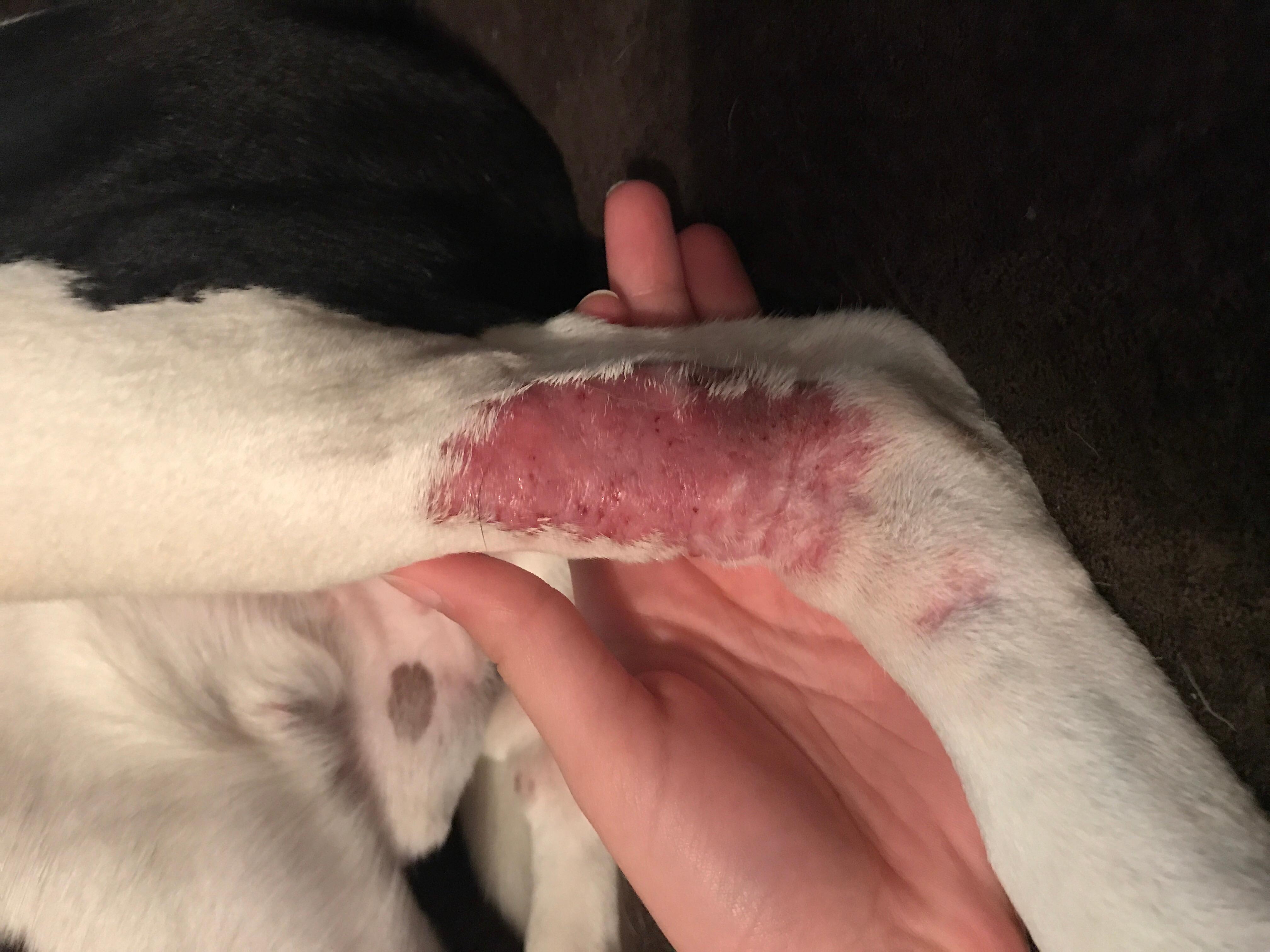 Question details sensitive content