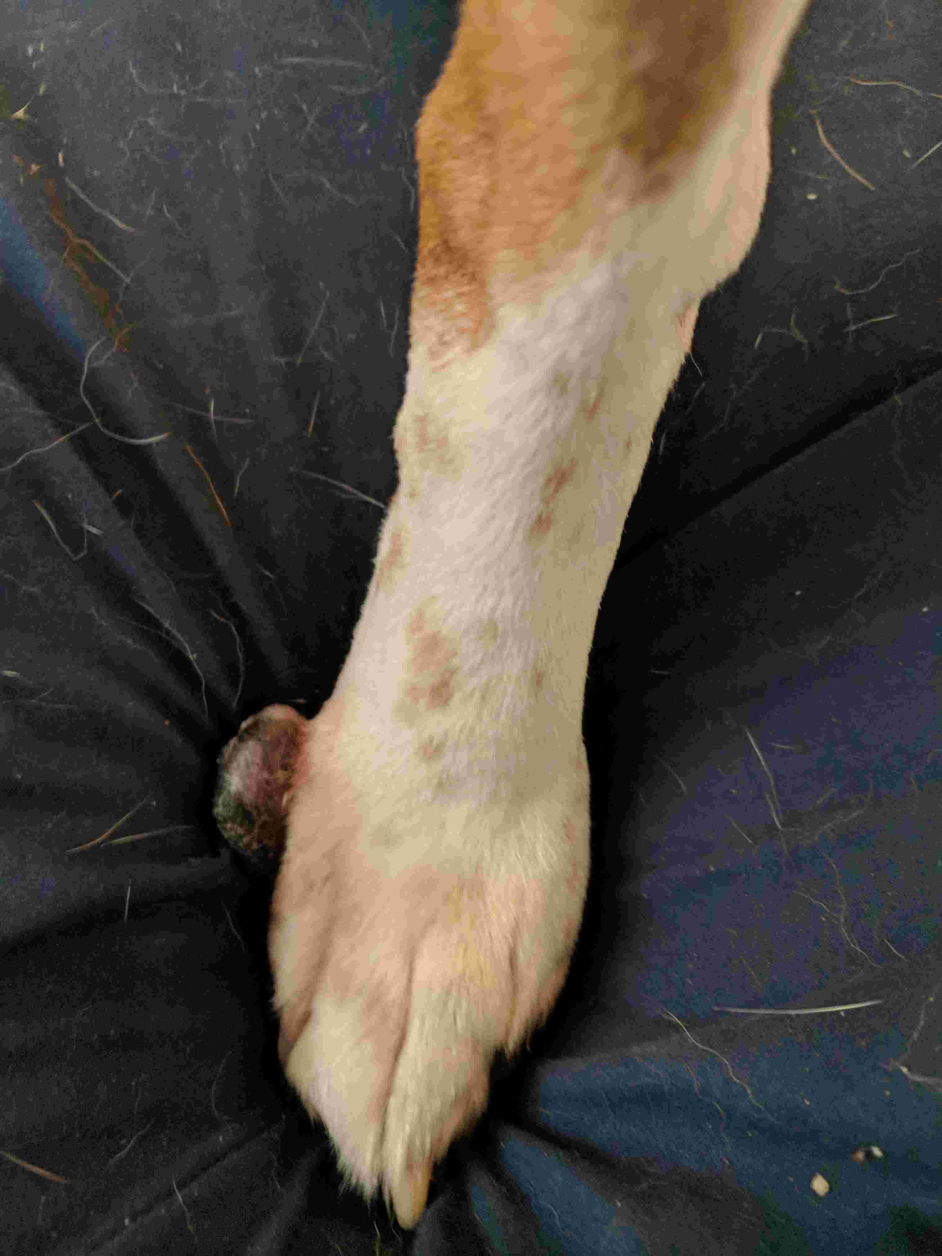 Question details sensitive content