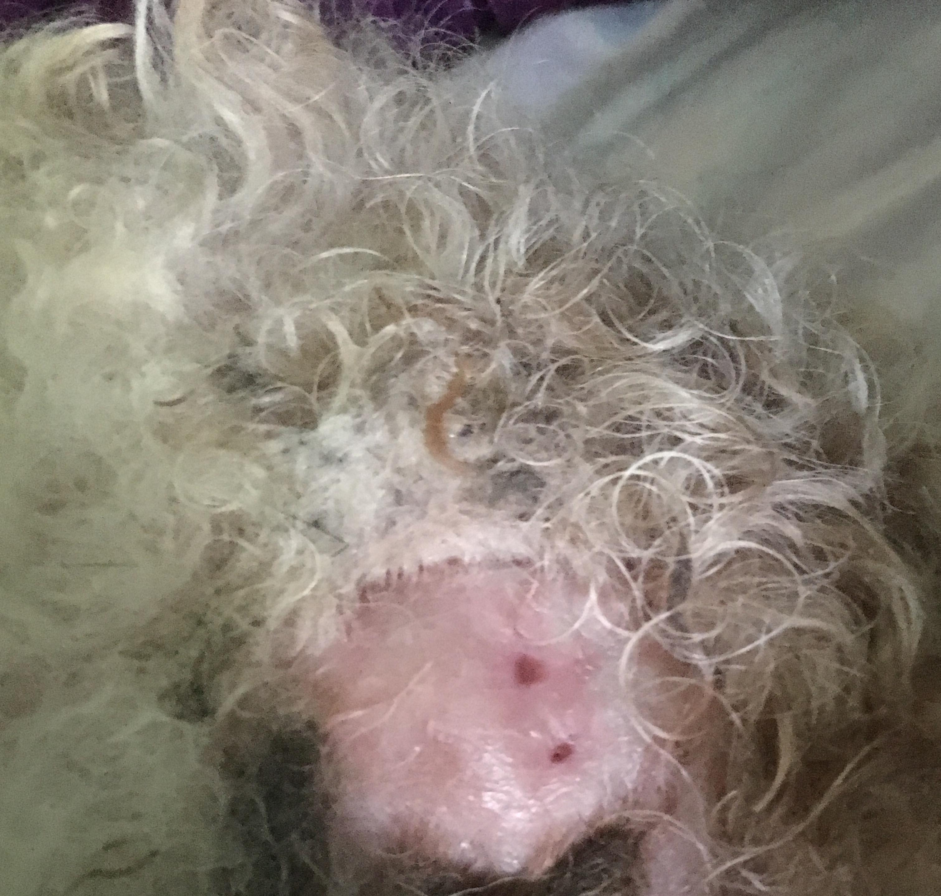 Question details sensitive content