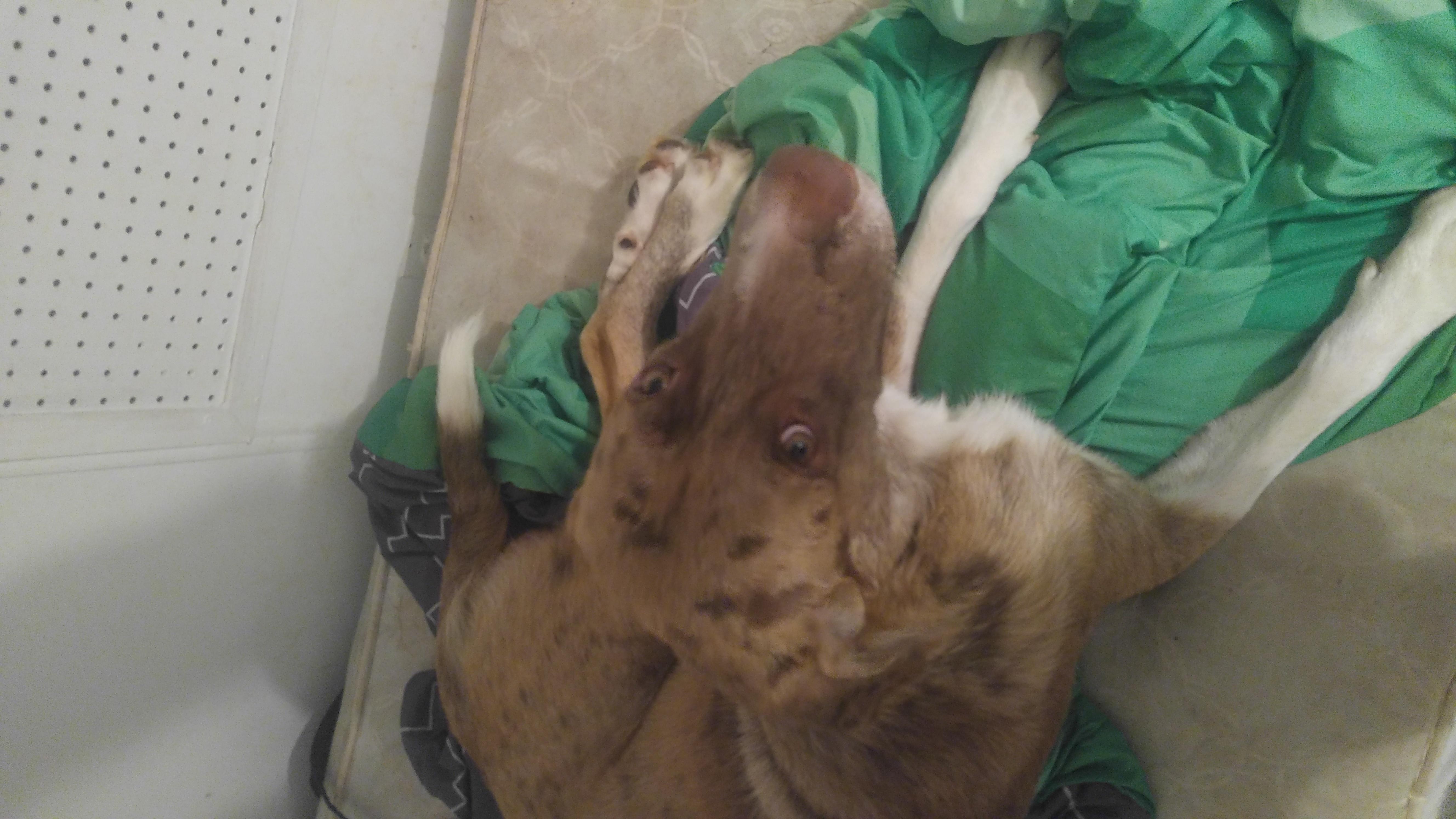 Question details sensitive content