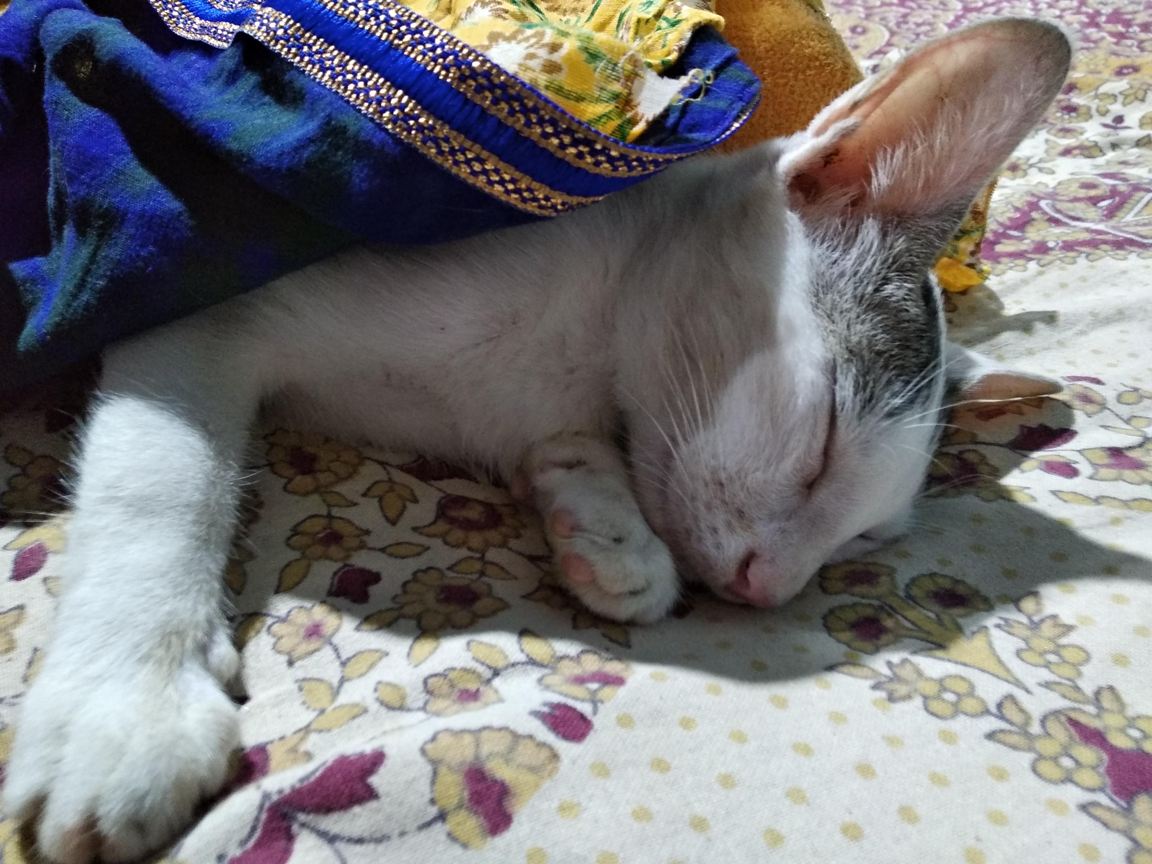 Question details sensitive content