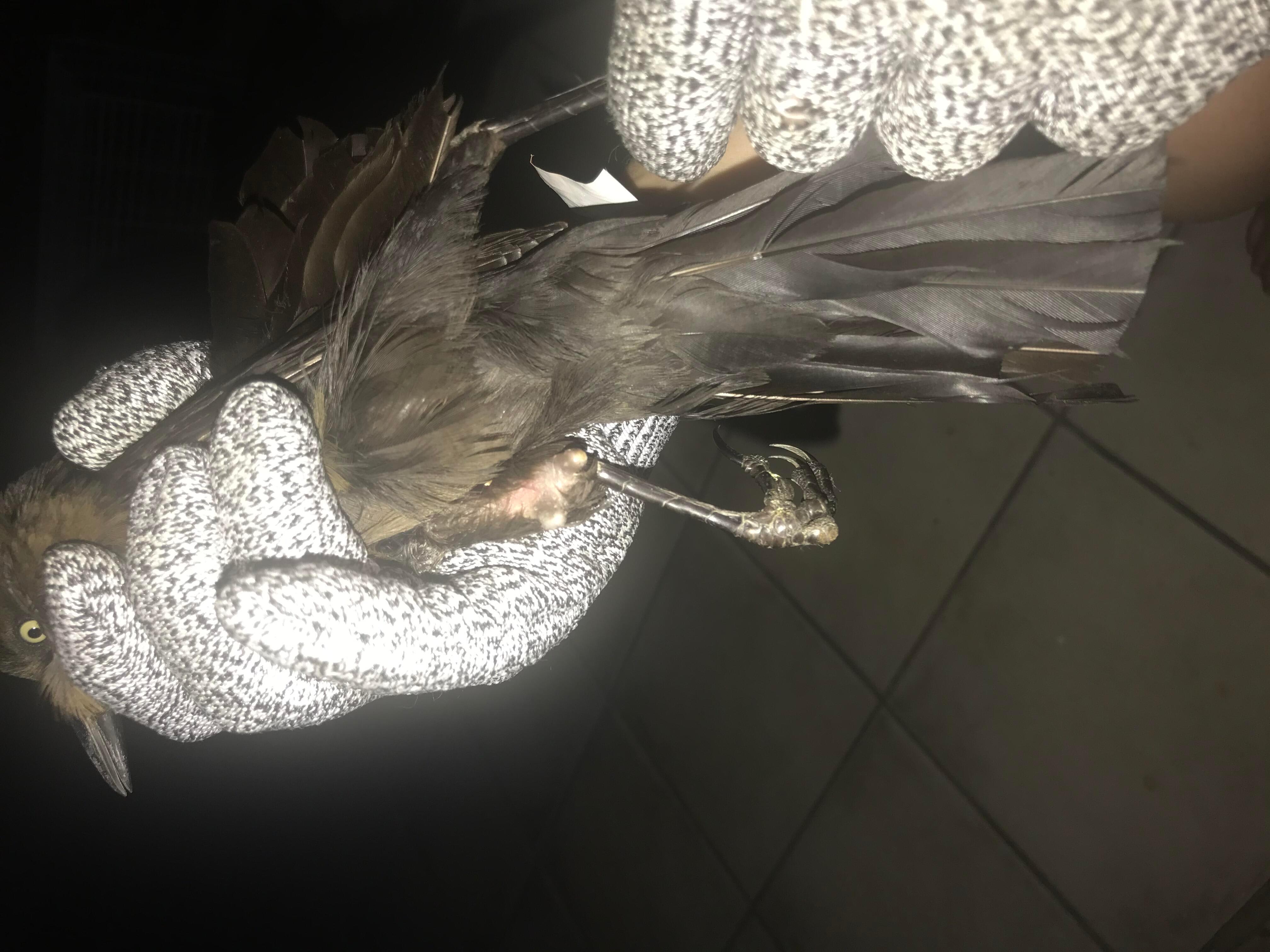 Question details sensitive content