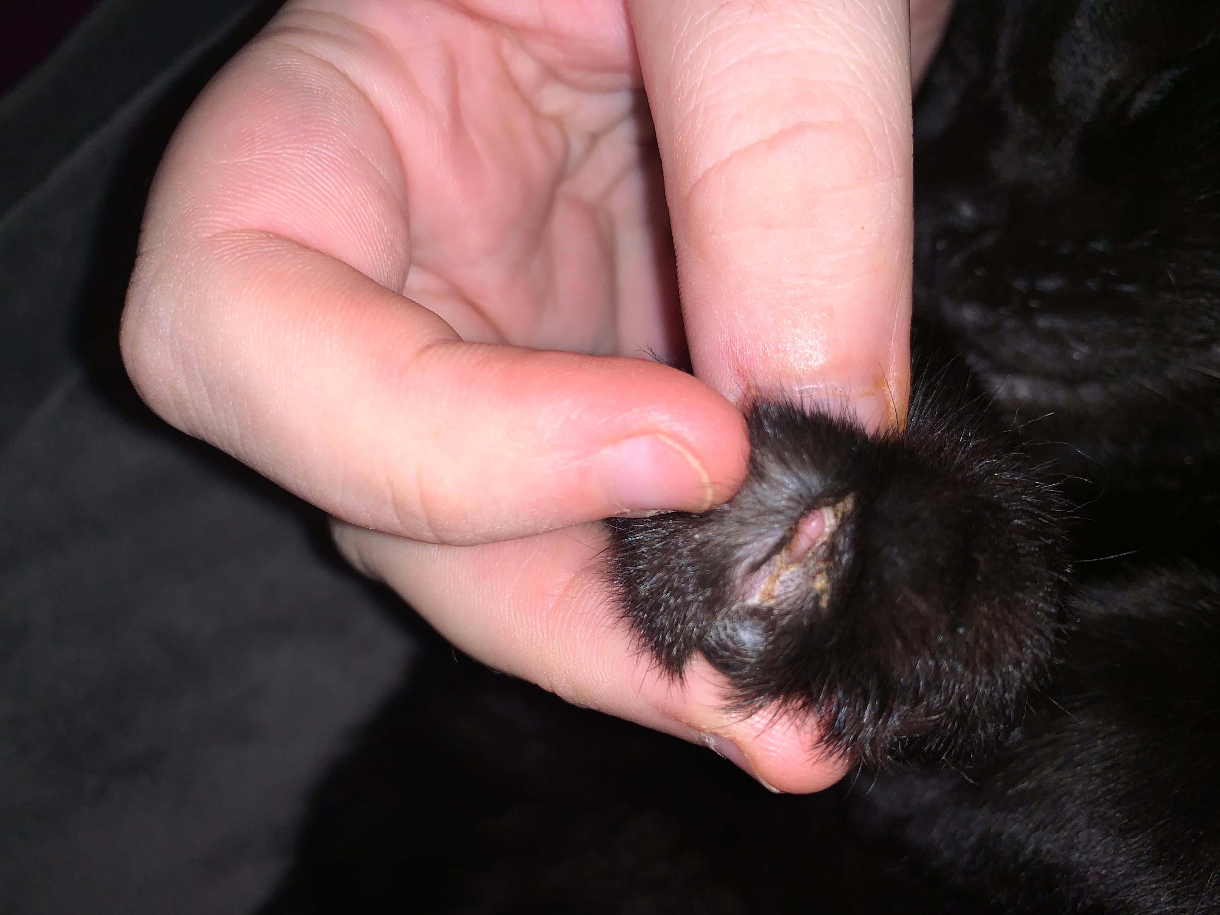 Question details sensitive content