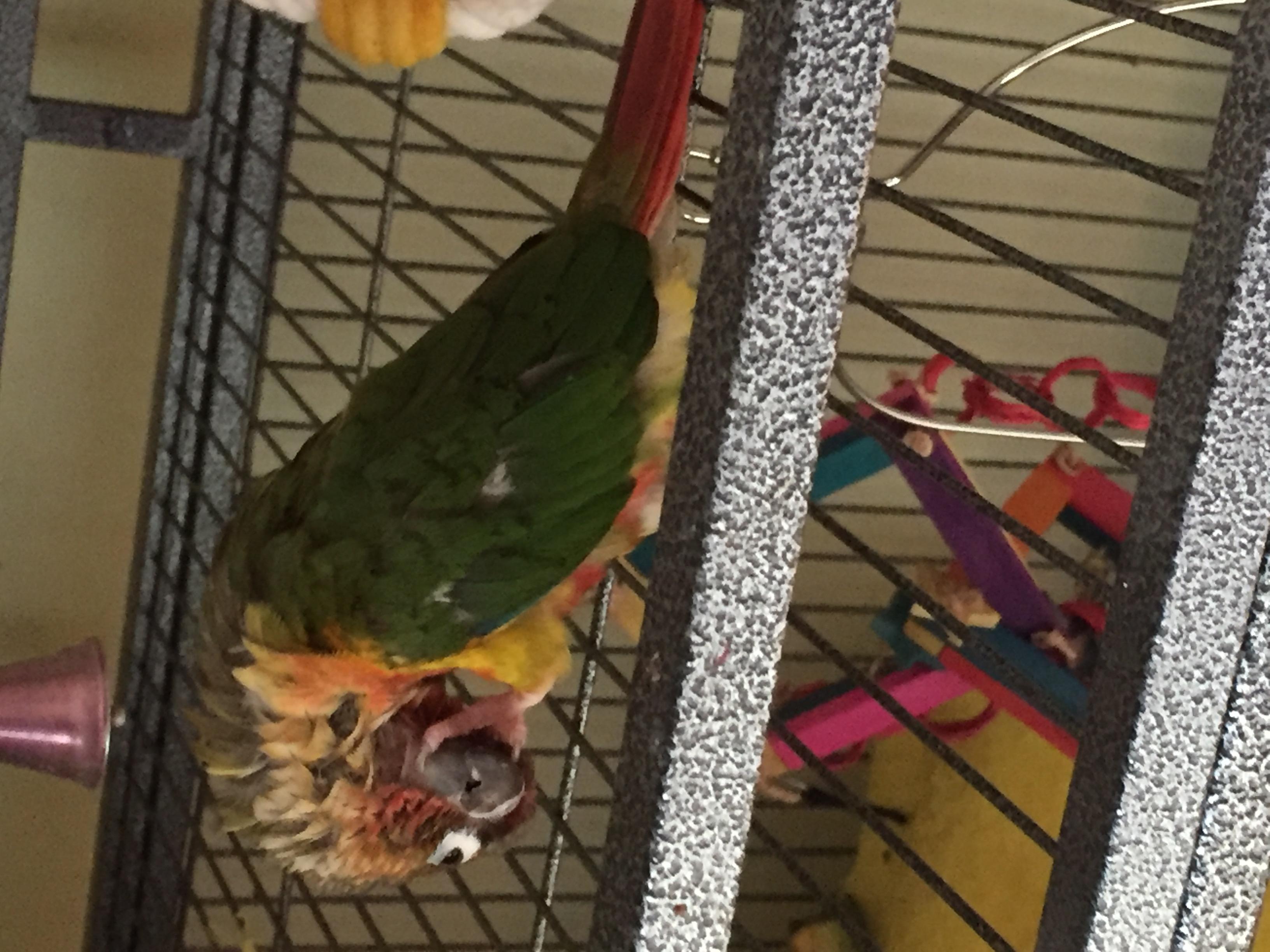 Question details sensitive content