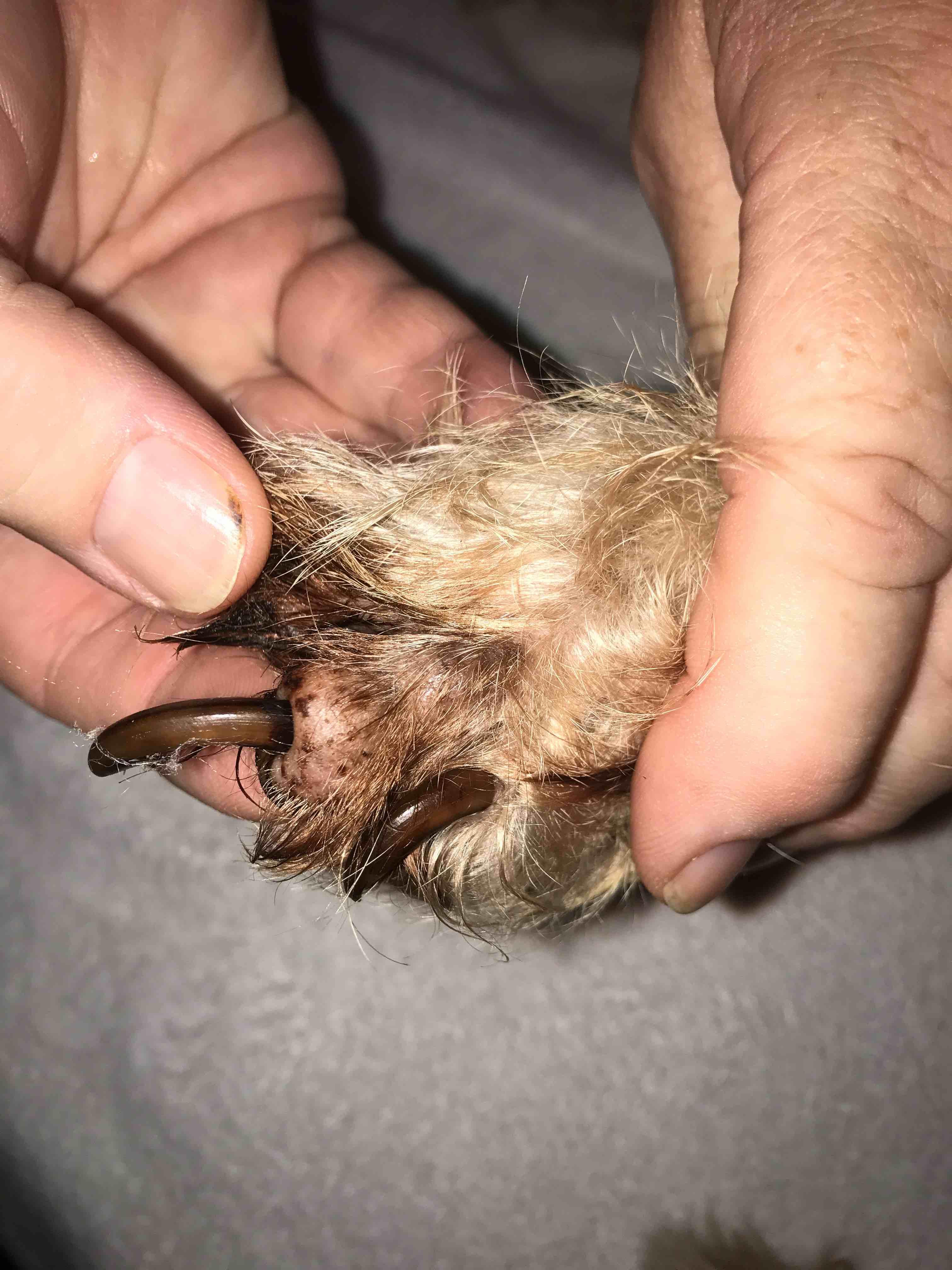 Question details sensitive content