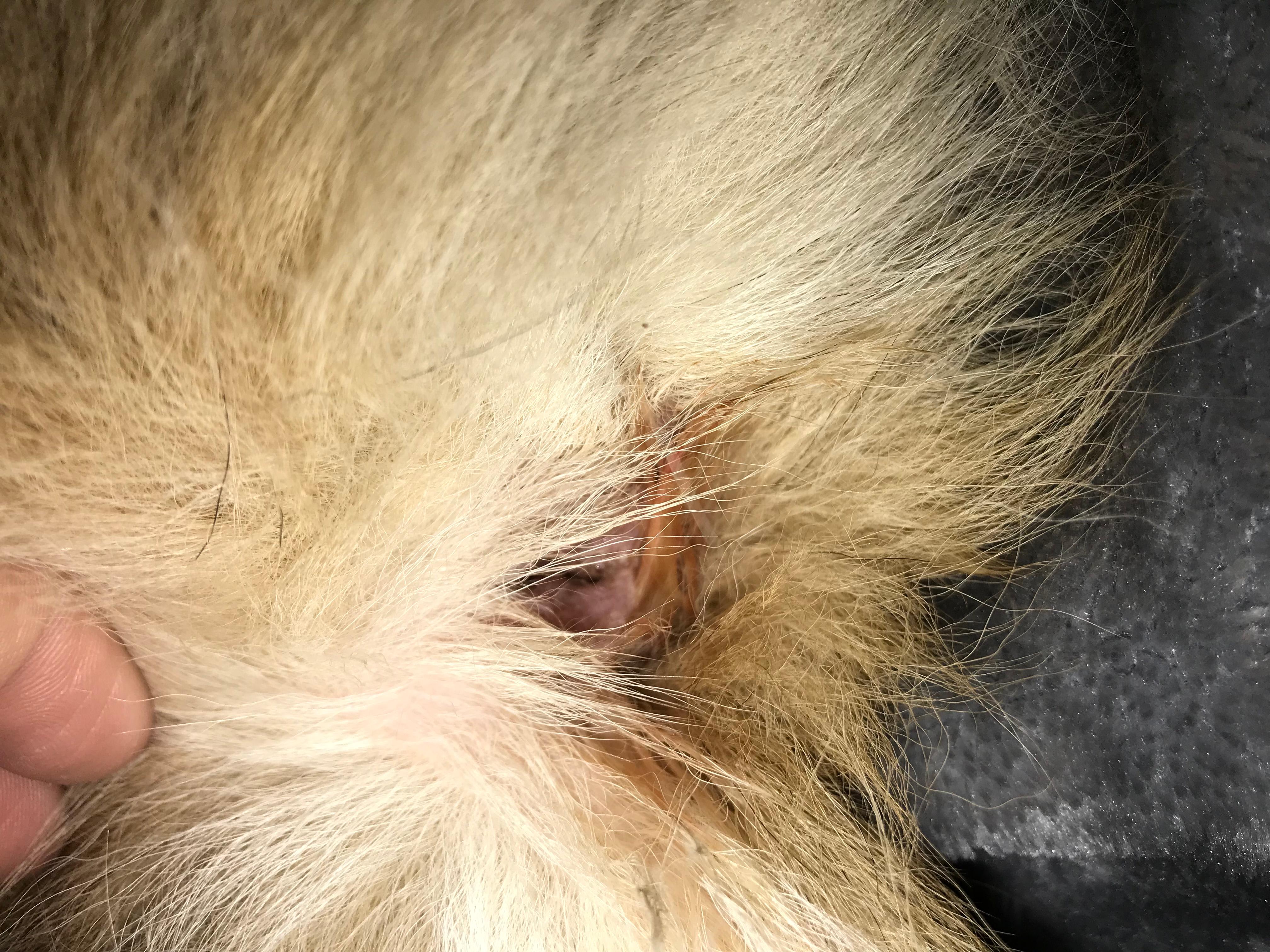 Question details sensitive content