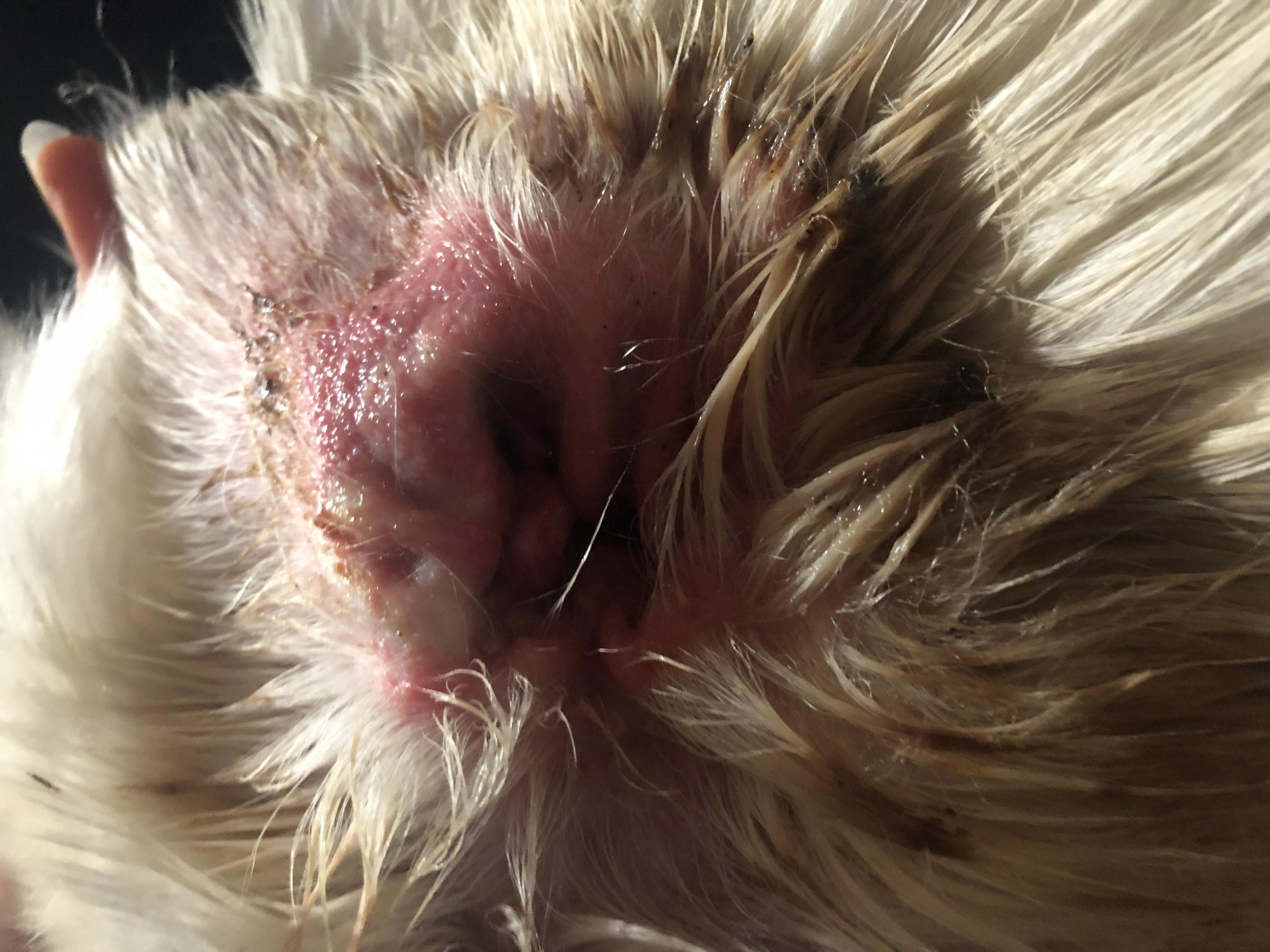 Question details sensitive content